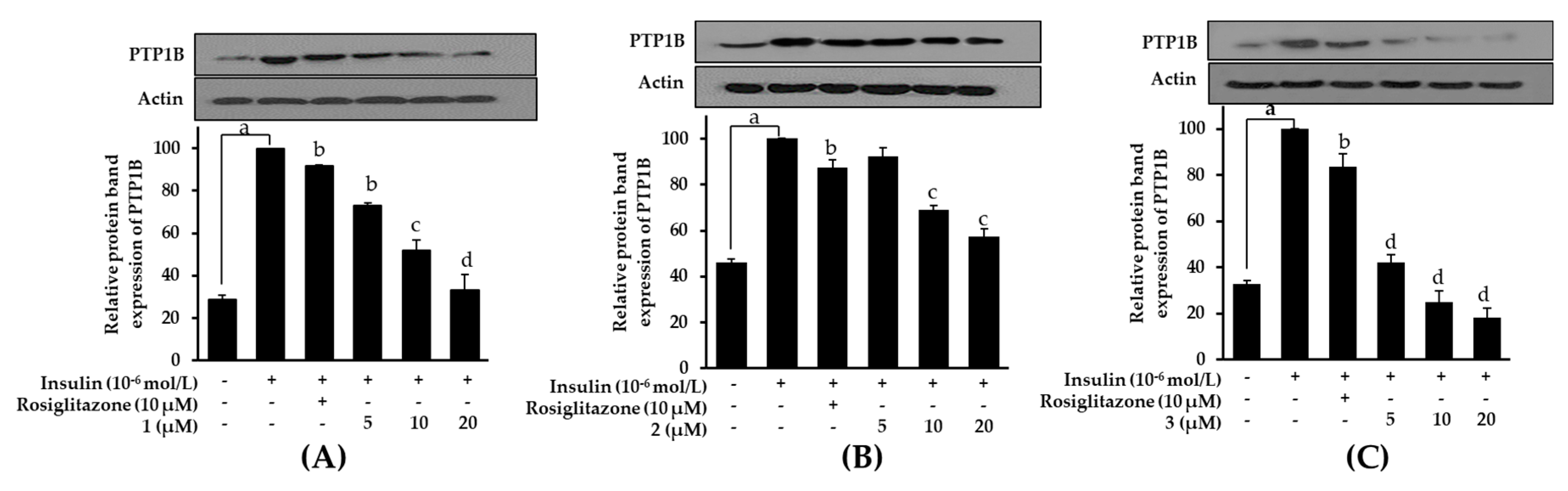 Marinedrugs 17 00166 g009