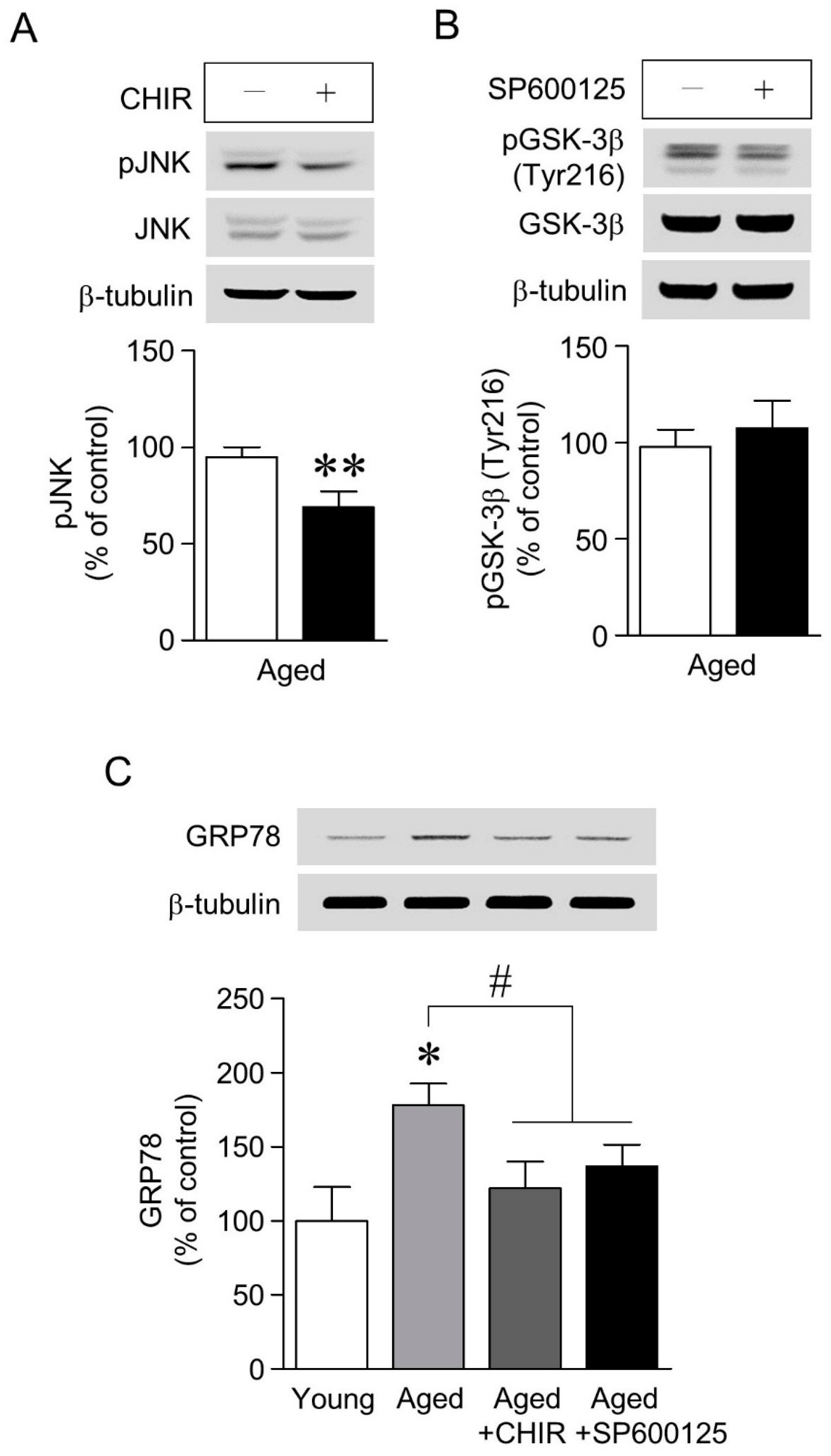 Marinedrugs 17 00168 g004