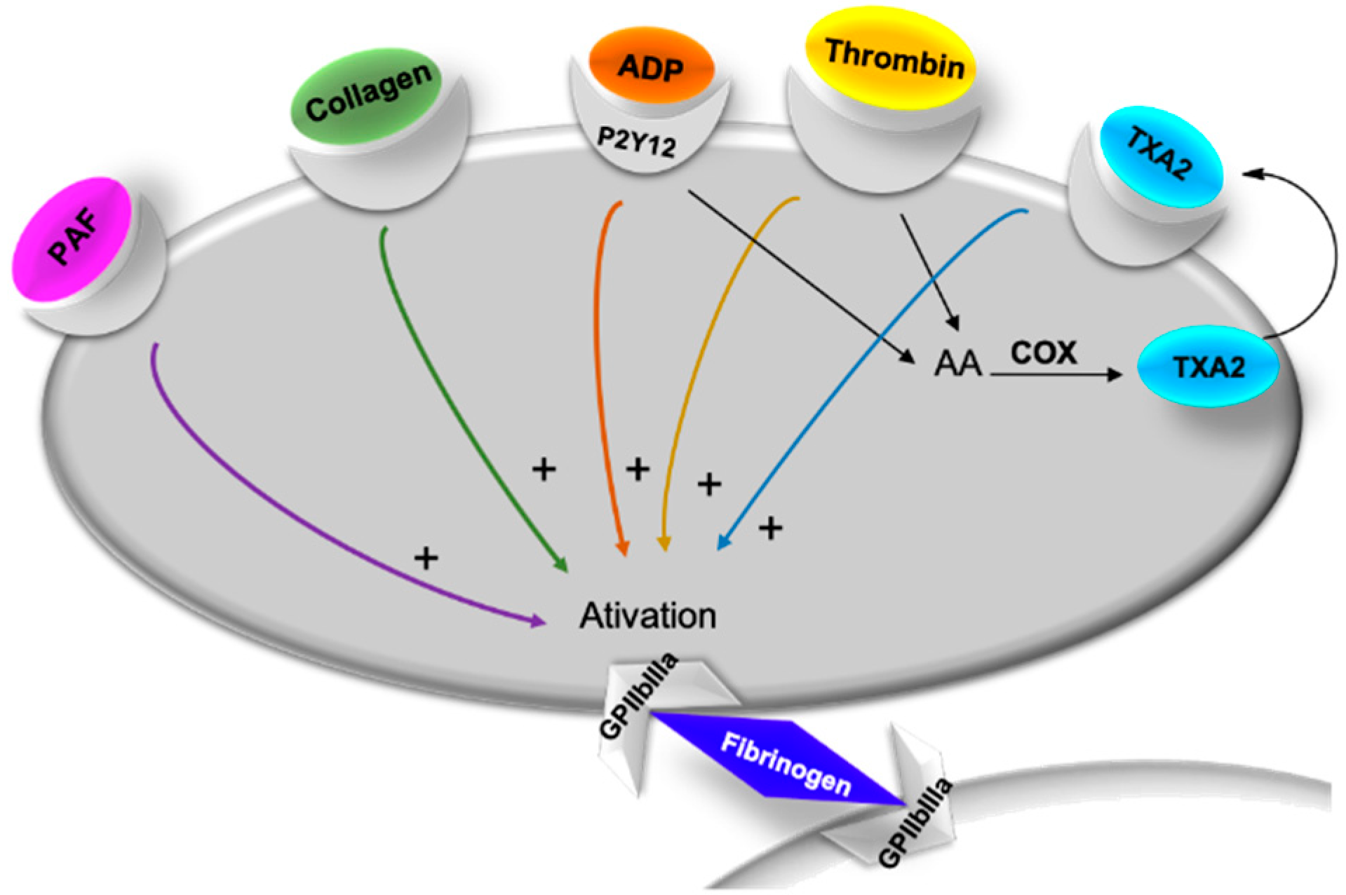 Marinedrugs 17 00170 g002