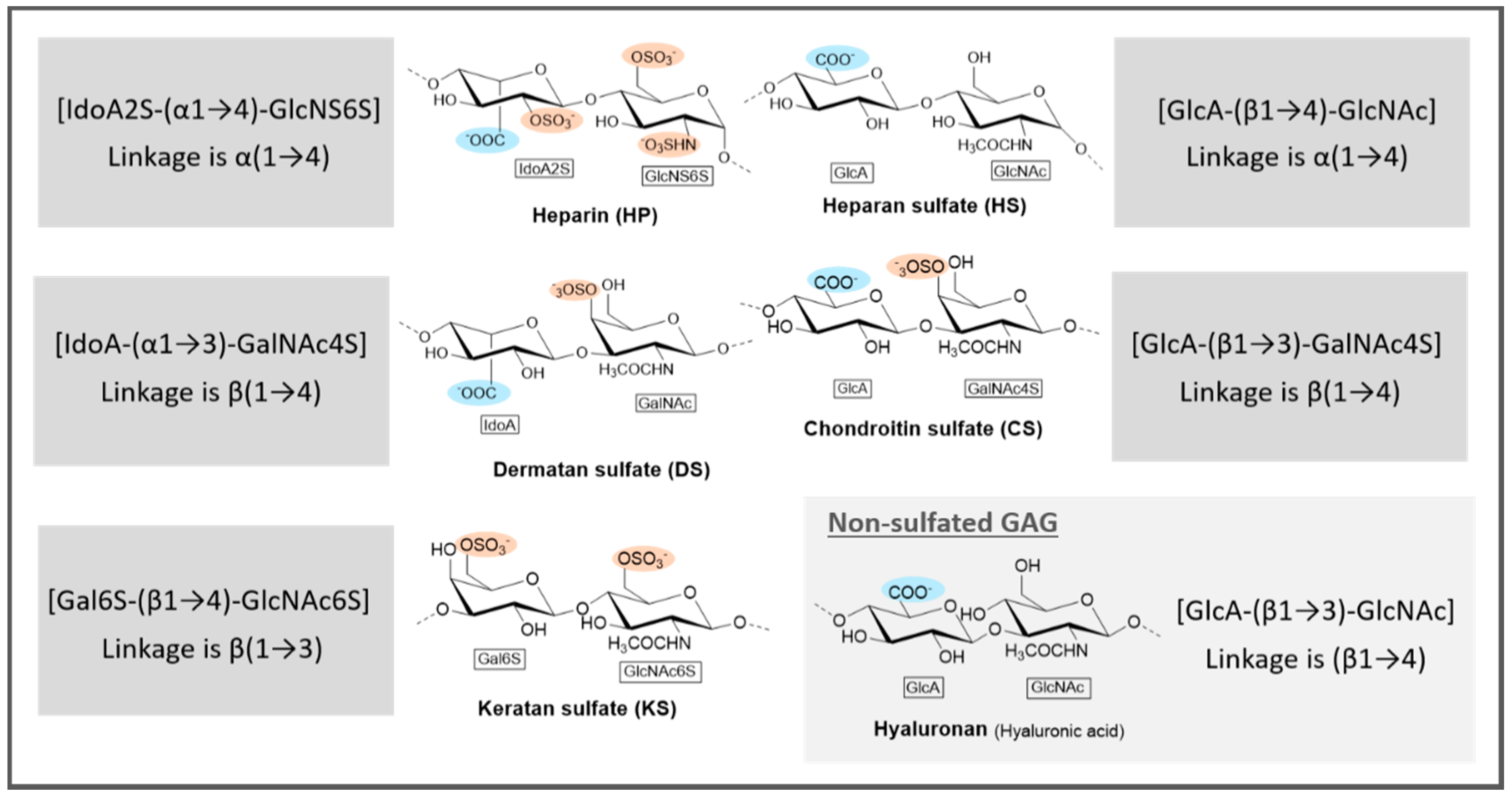 Marinedrugs 17 00170 g004