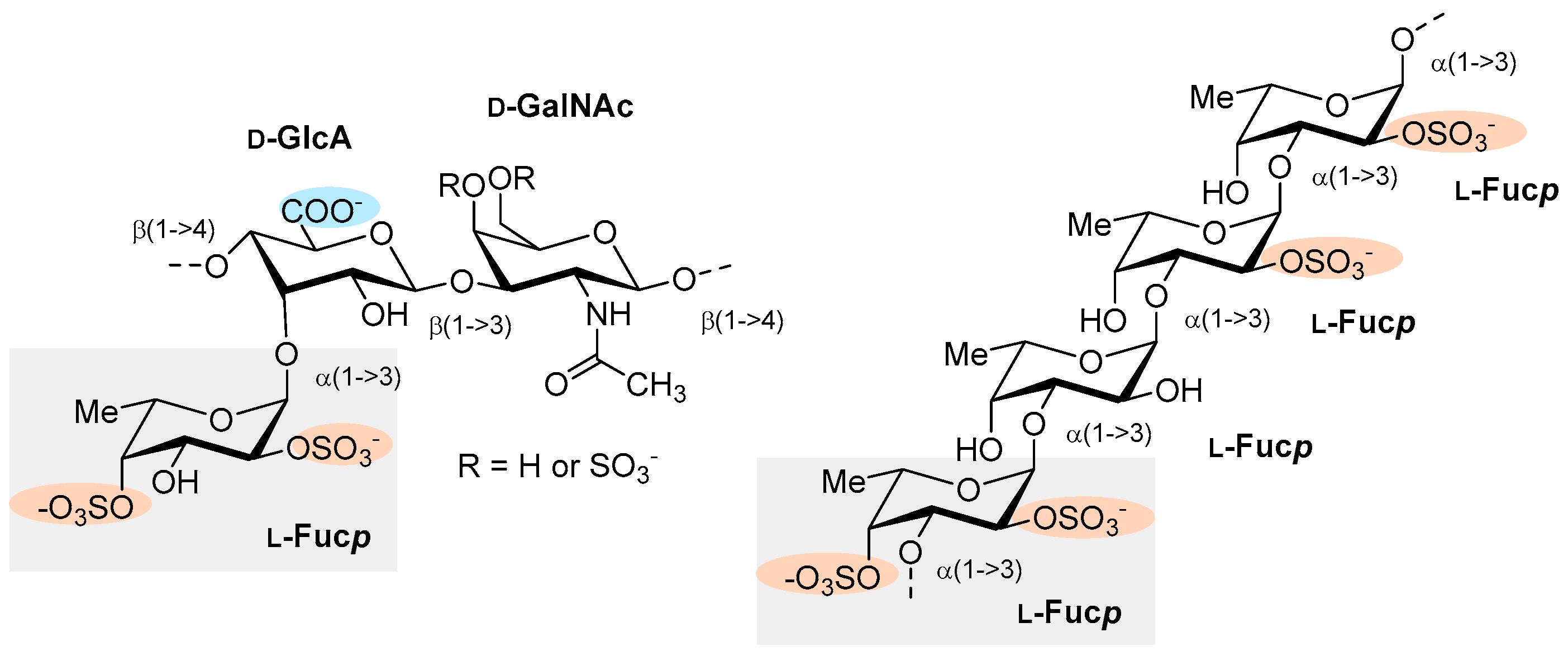 Marinedrugs 17 00170 g005