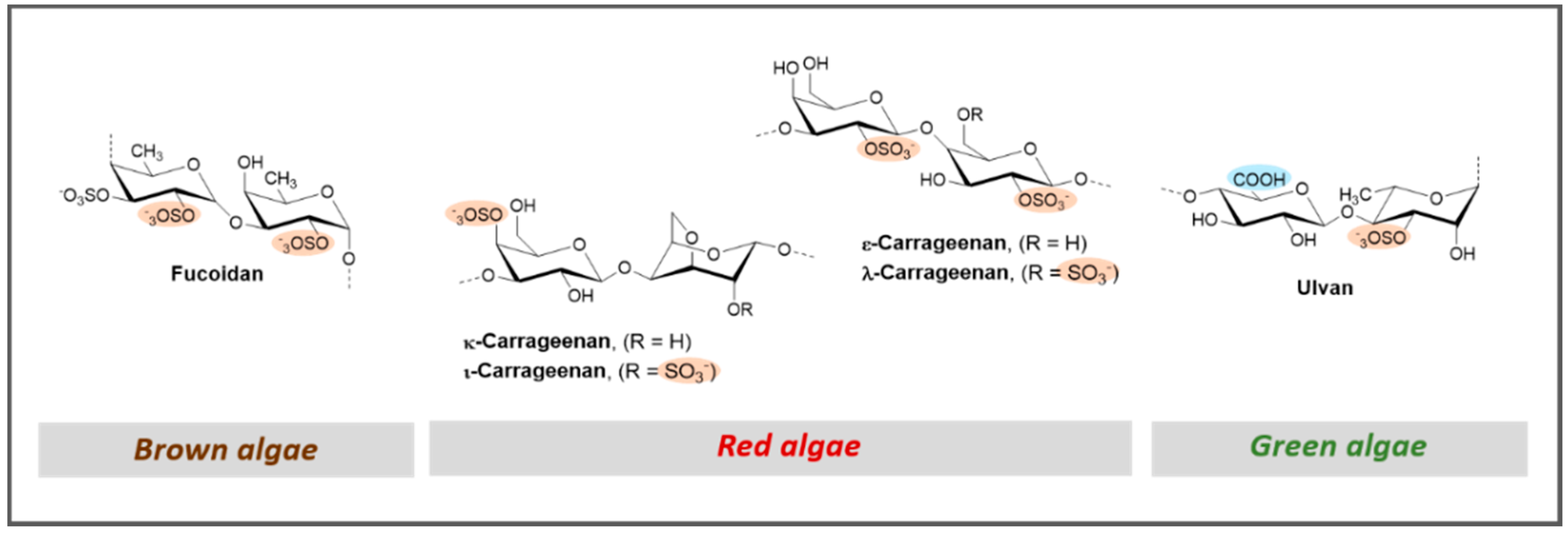 Marinedrugs 17 00170 g007