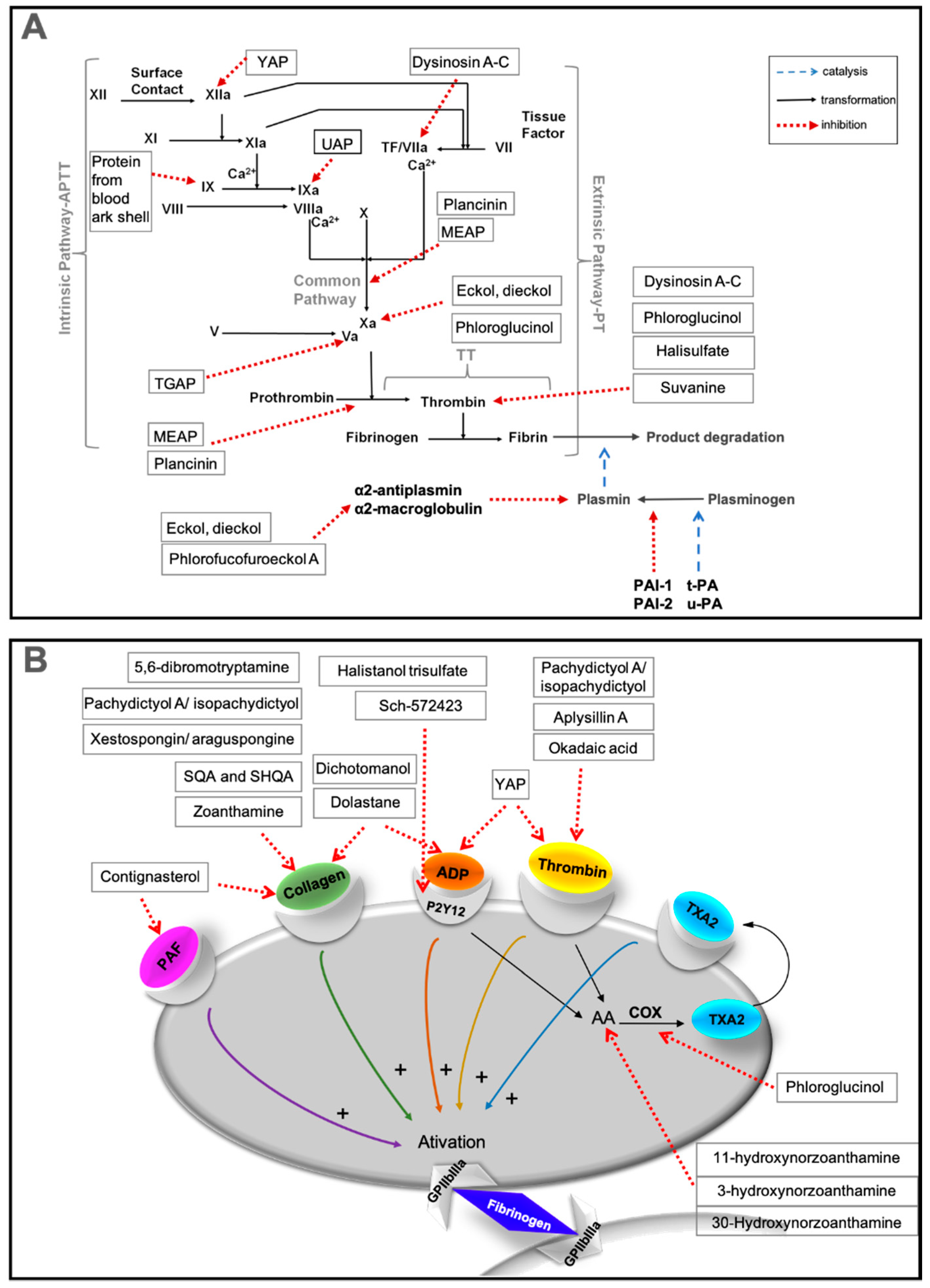 Marinedrugs 17 00170 g009