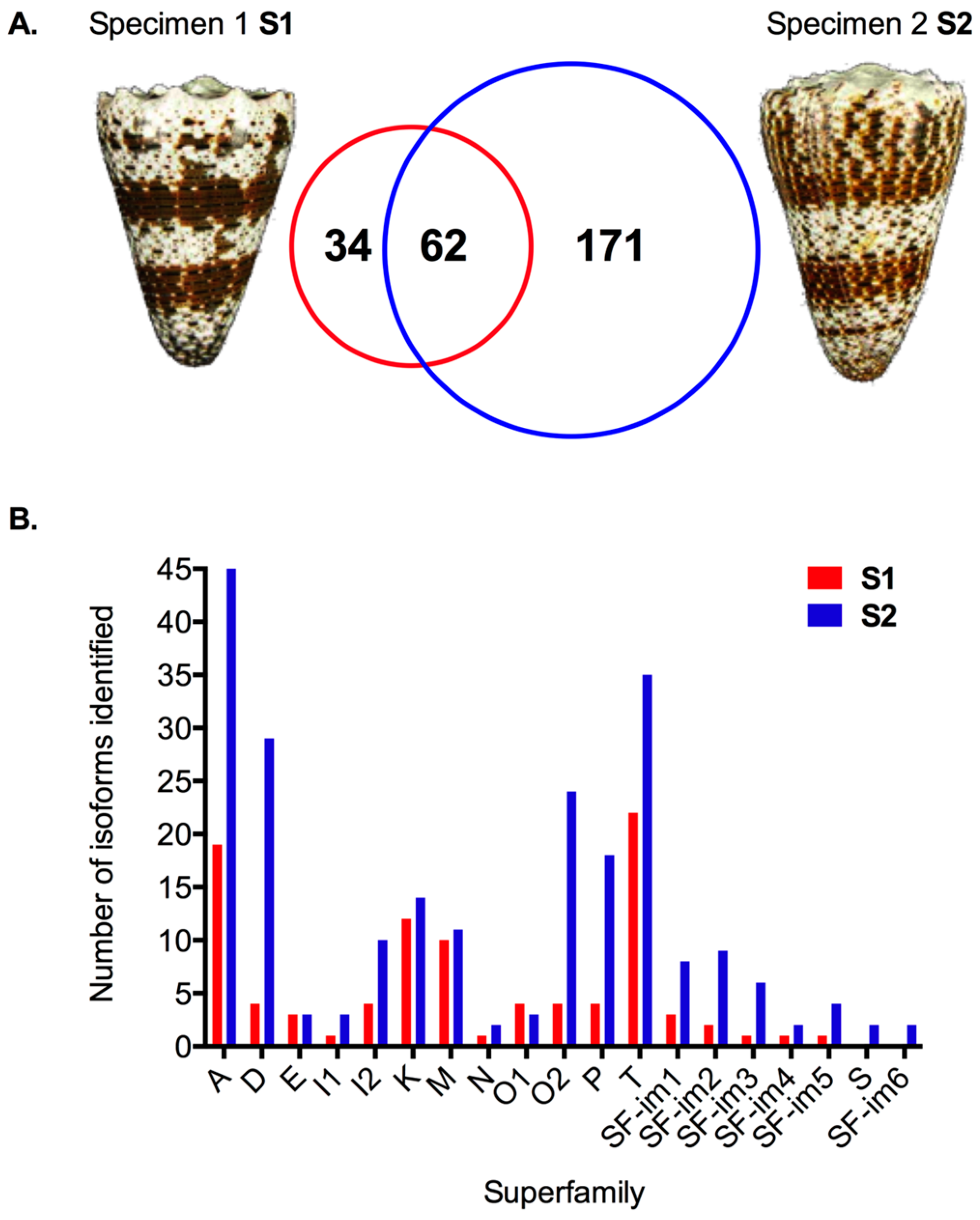 Marinedrugs 17 00177 g001 Marinedrugs 17 00177 g001