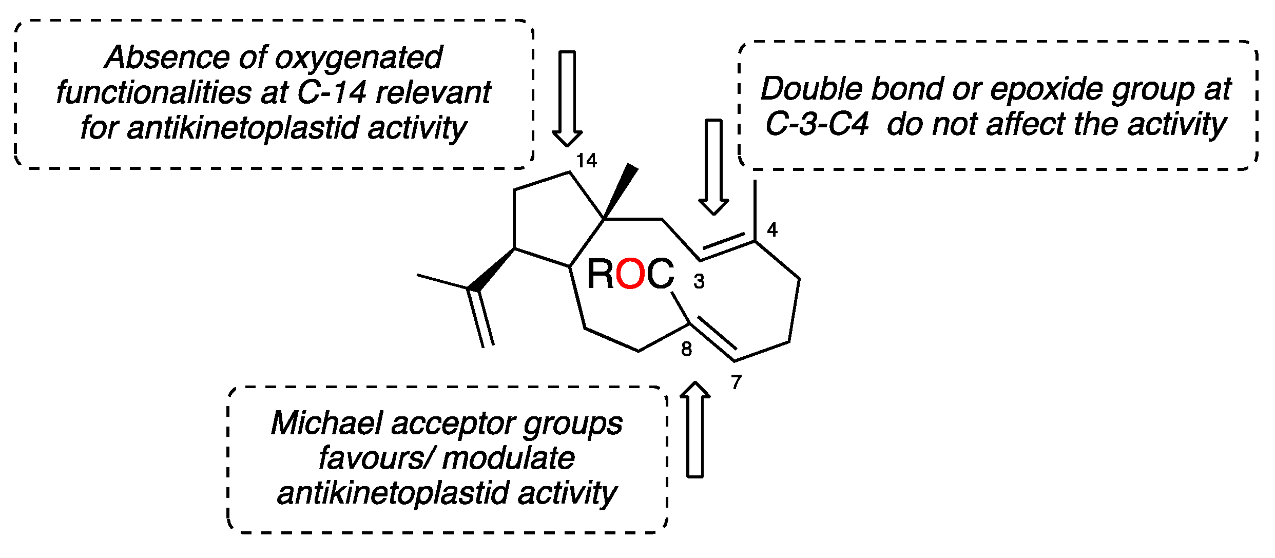 Marinedrugs 17 00192 g006