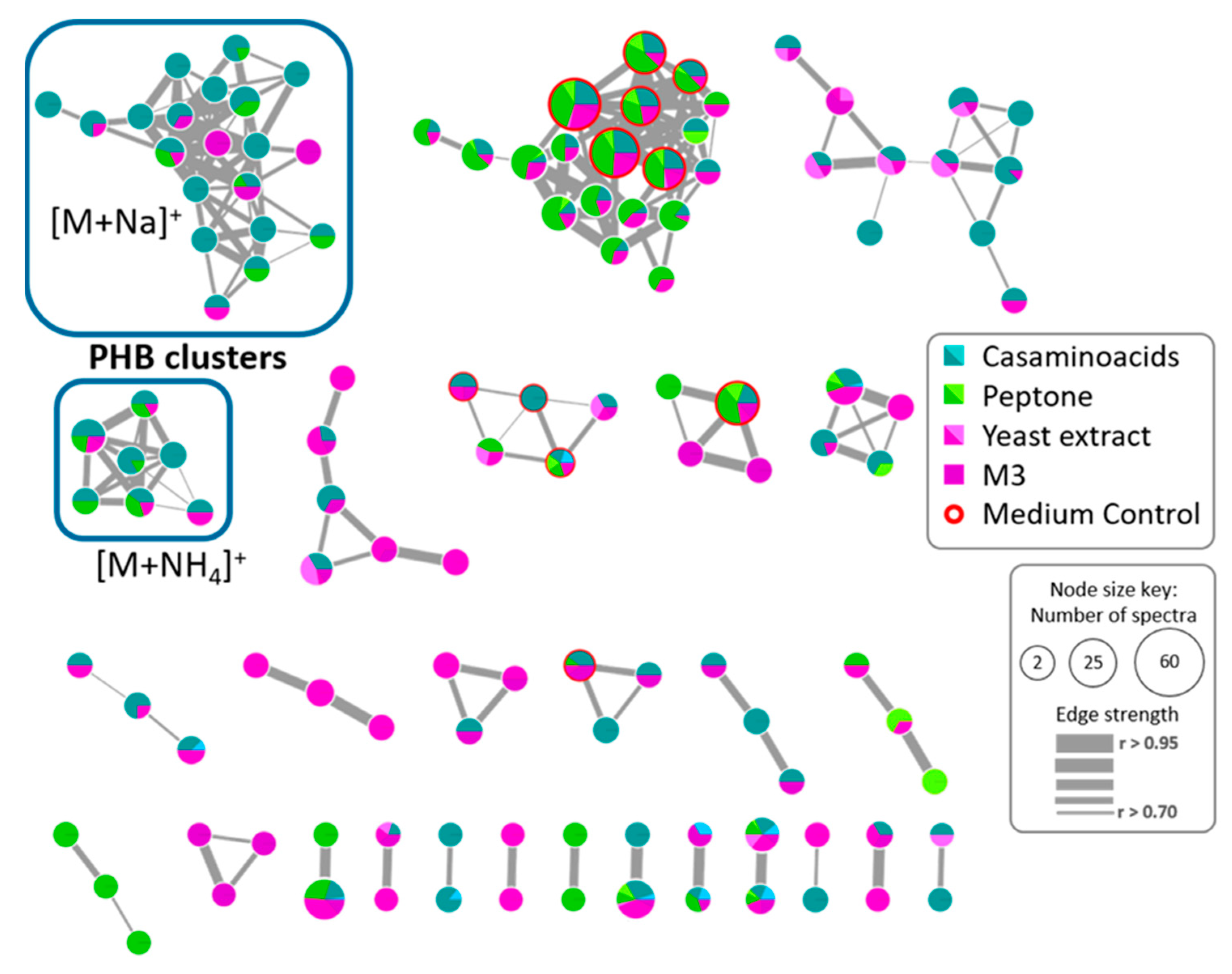 Marinedrugs 17 00196 g006