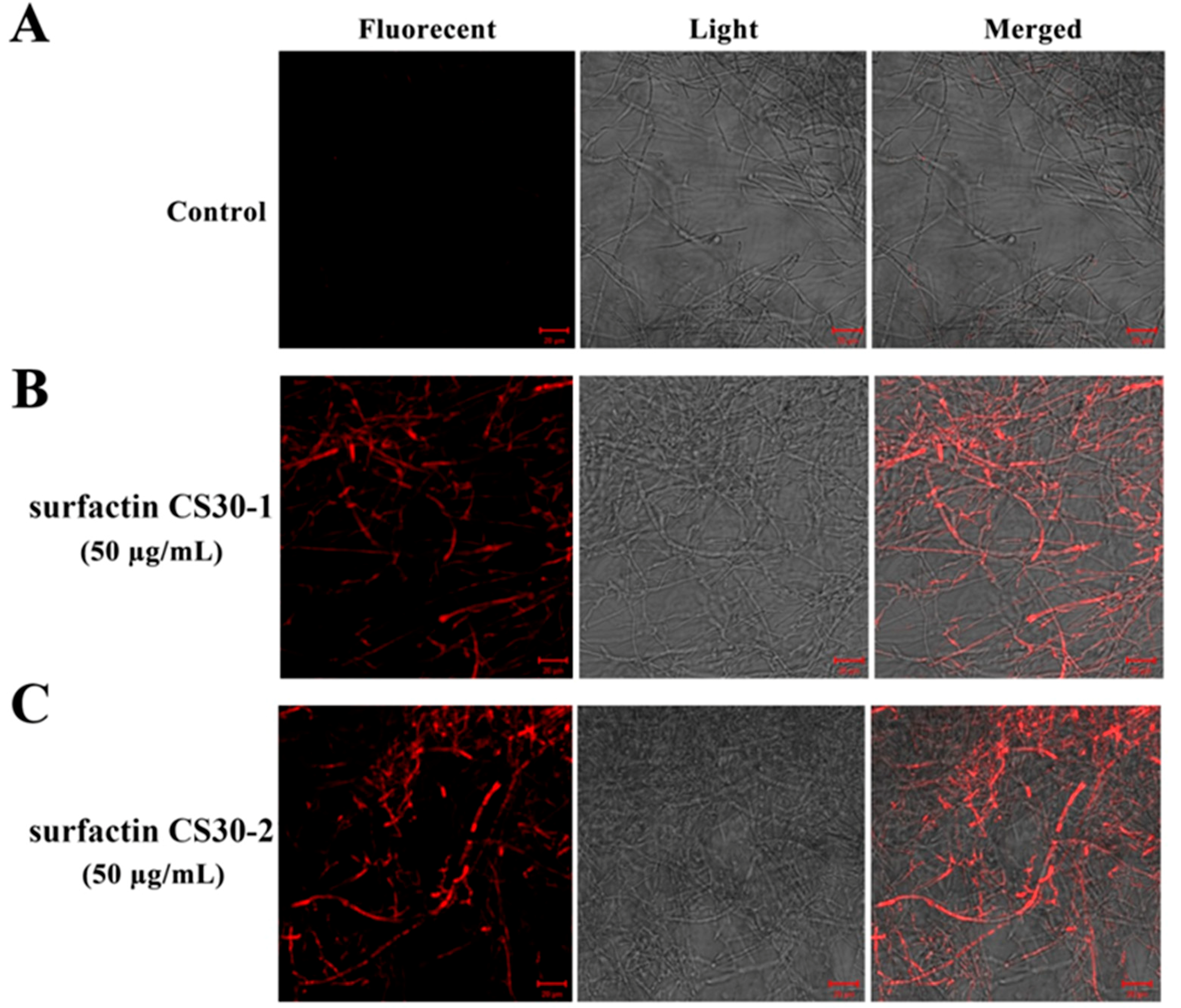 Marinedrugs 17 00199 g008