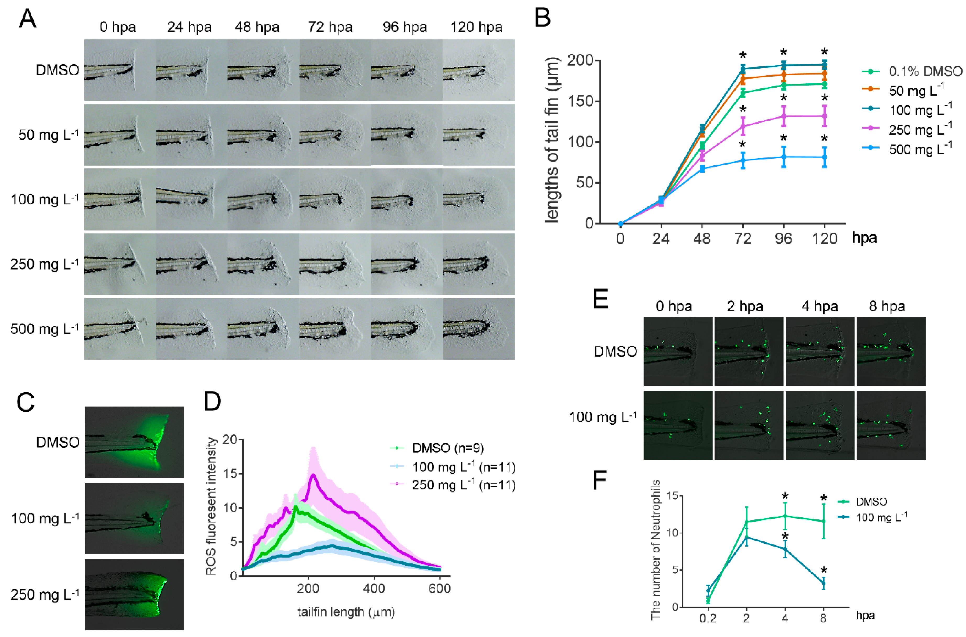 Marinedrugs 17 00203 g007