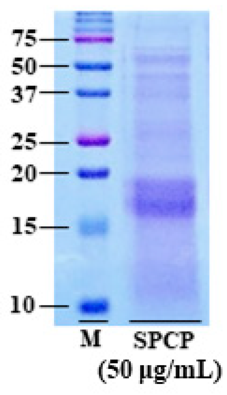 Marinedrugs 17 00205 g001