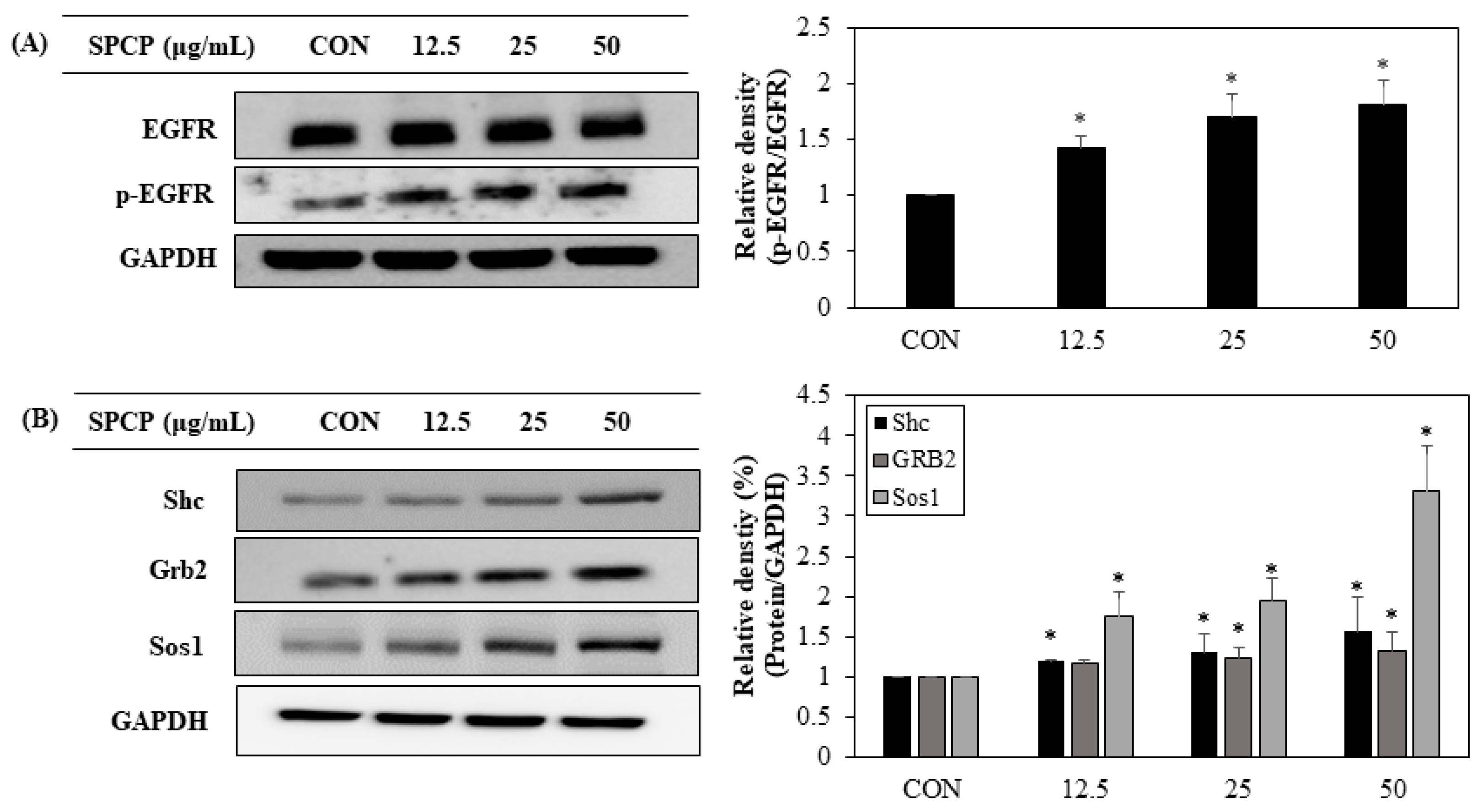 Marinedrugs 17 00205 g004