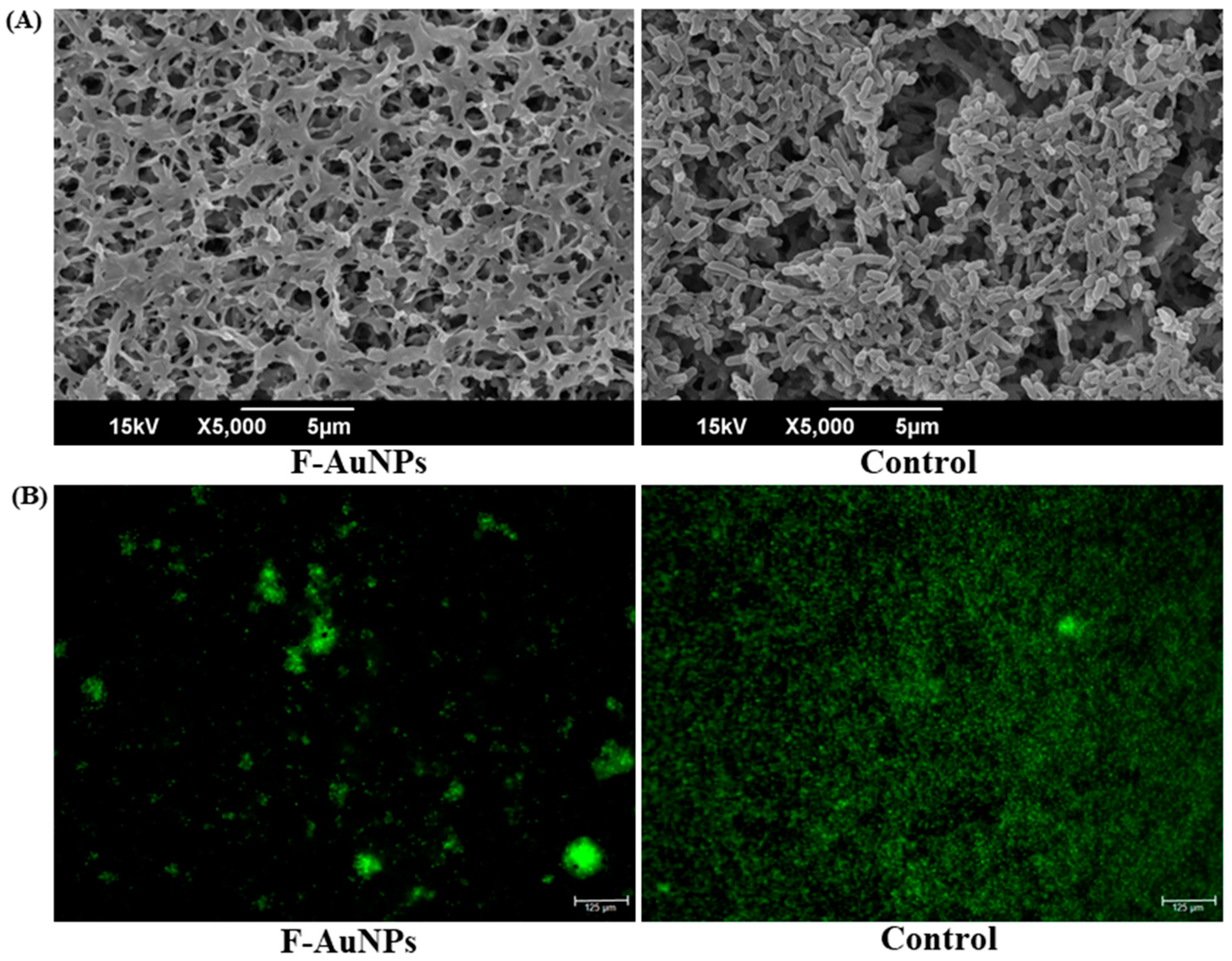 Marinedrugs 17 00208 g005