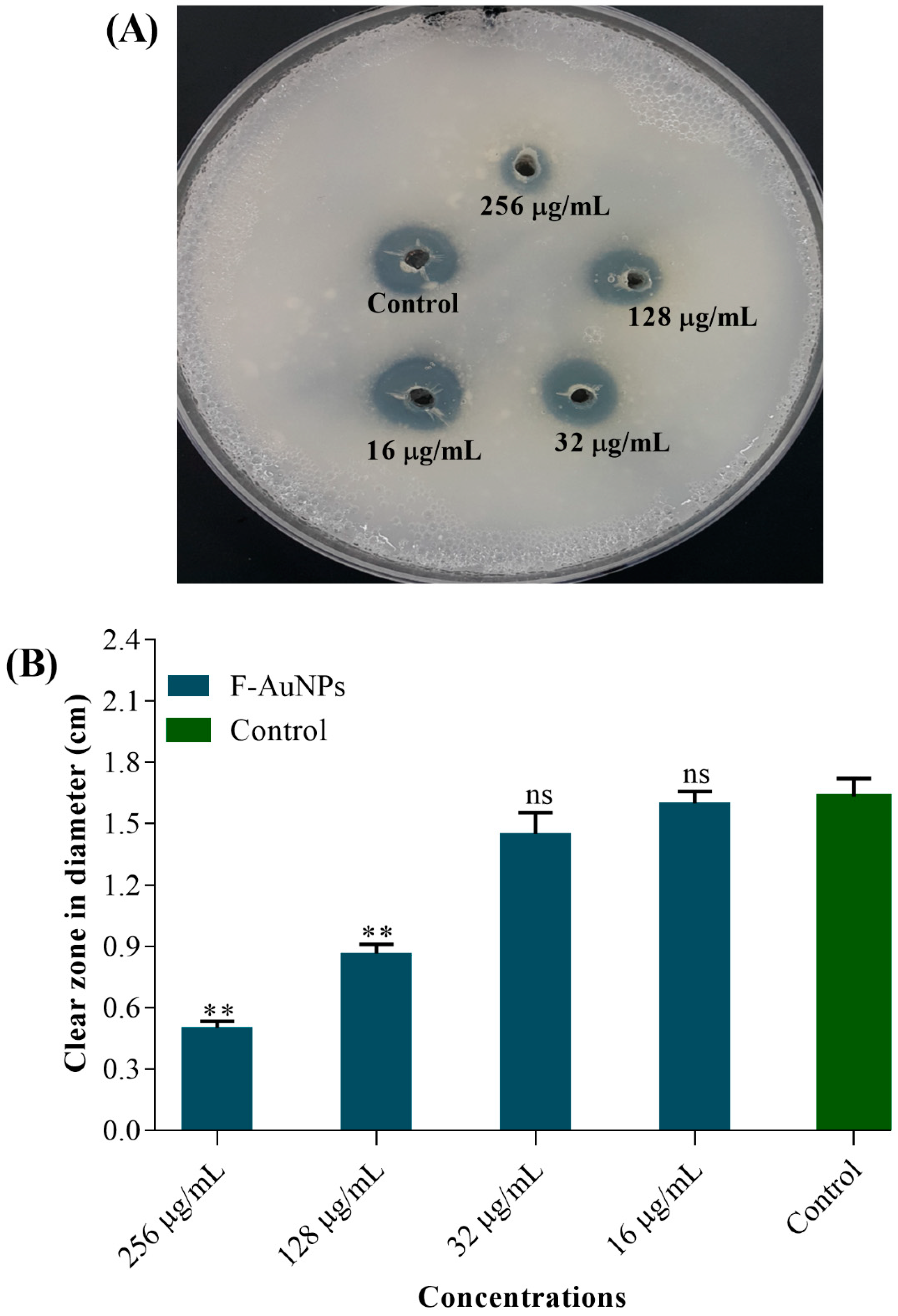 Marinedrugs 17 00208 g008
