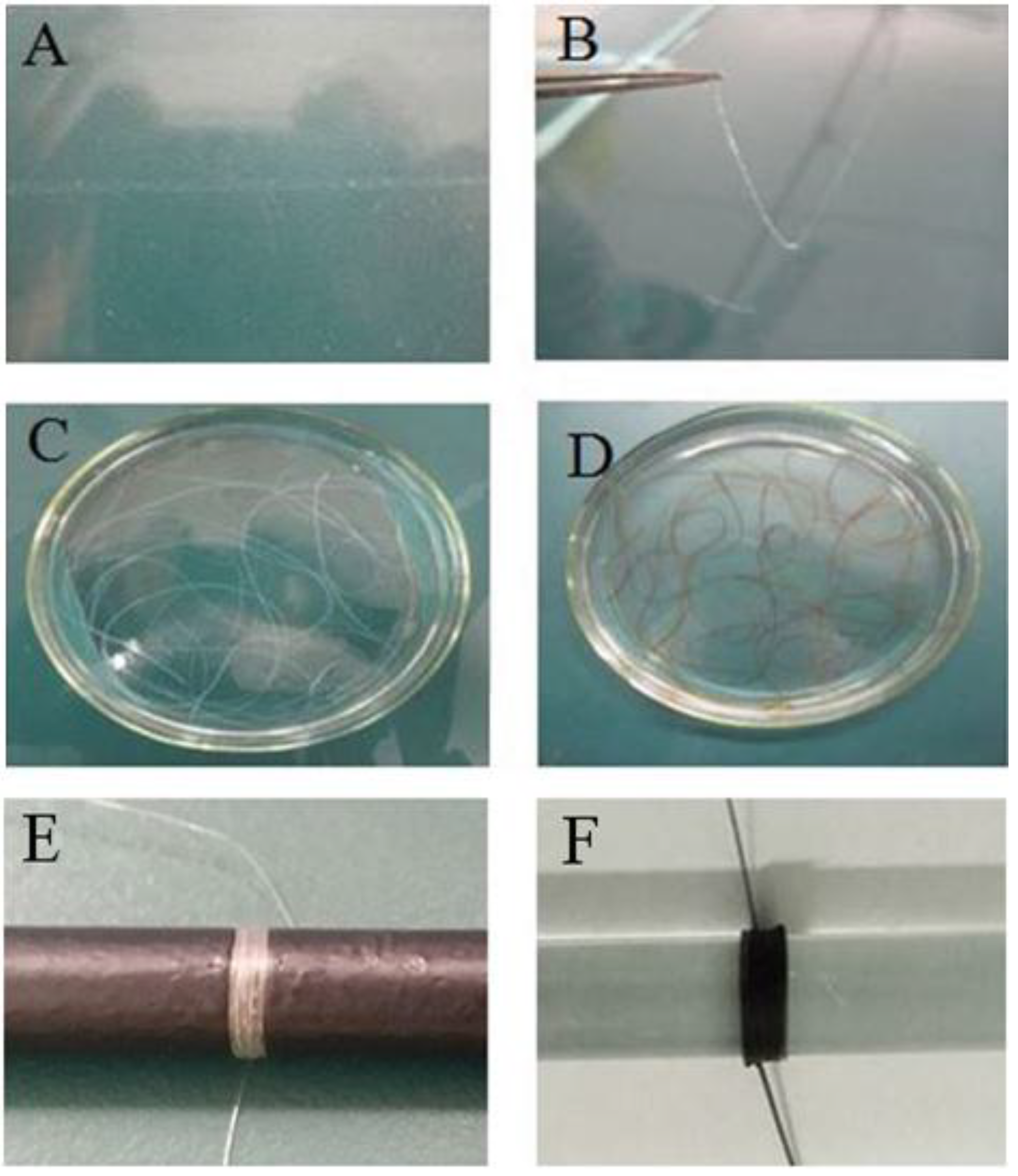 Marinedrugs 17 00210 g001