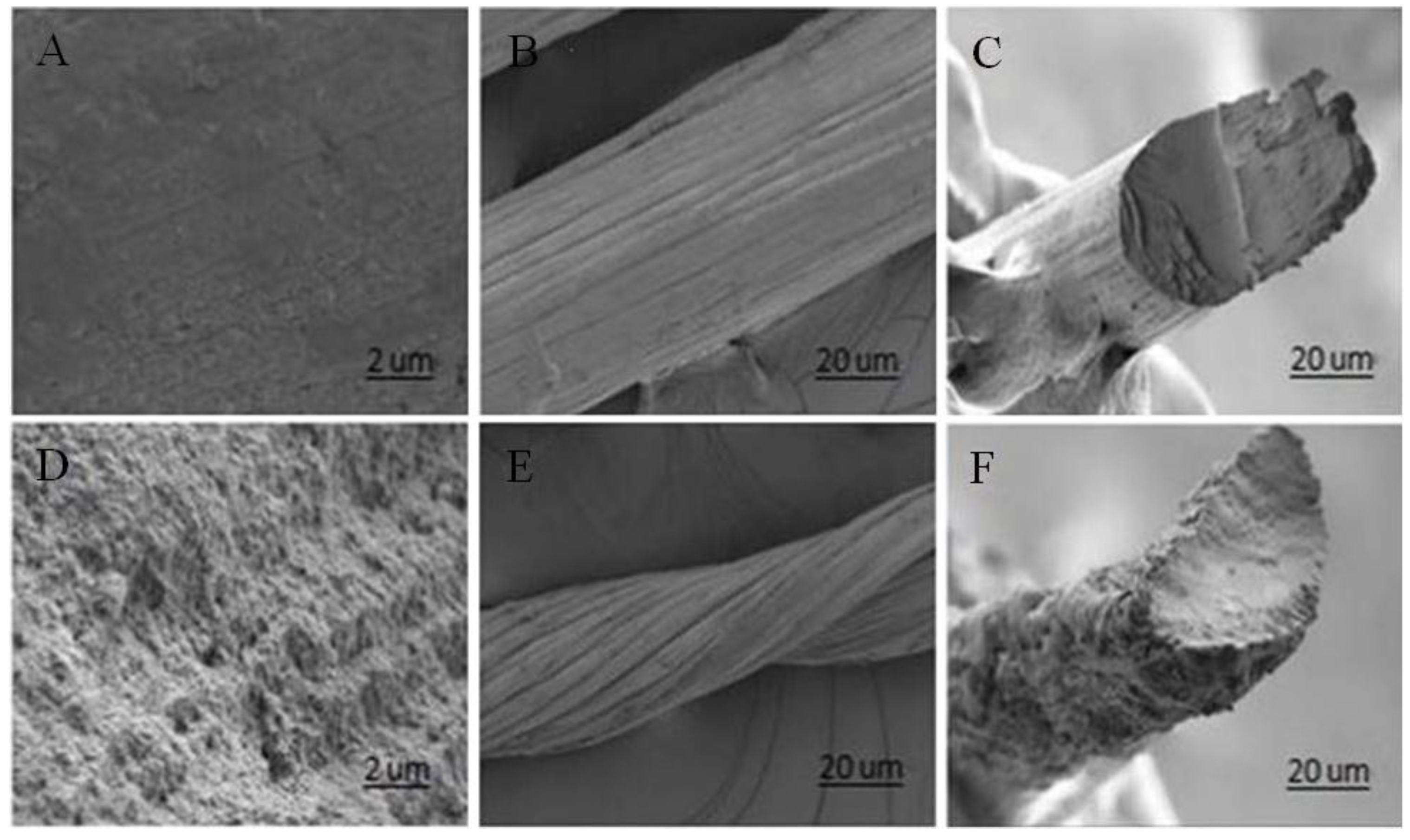 Marinedrugs 17 00210 g003