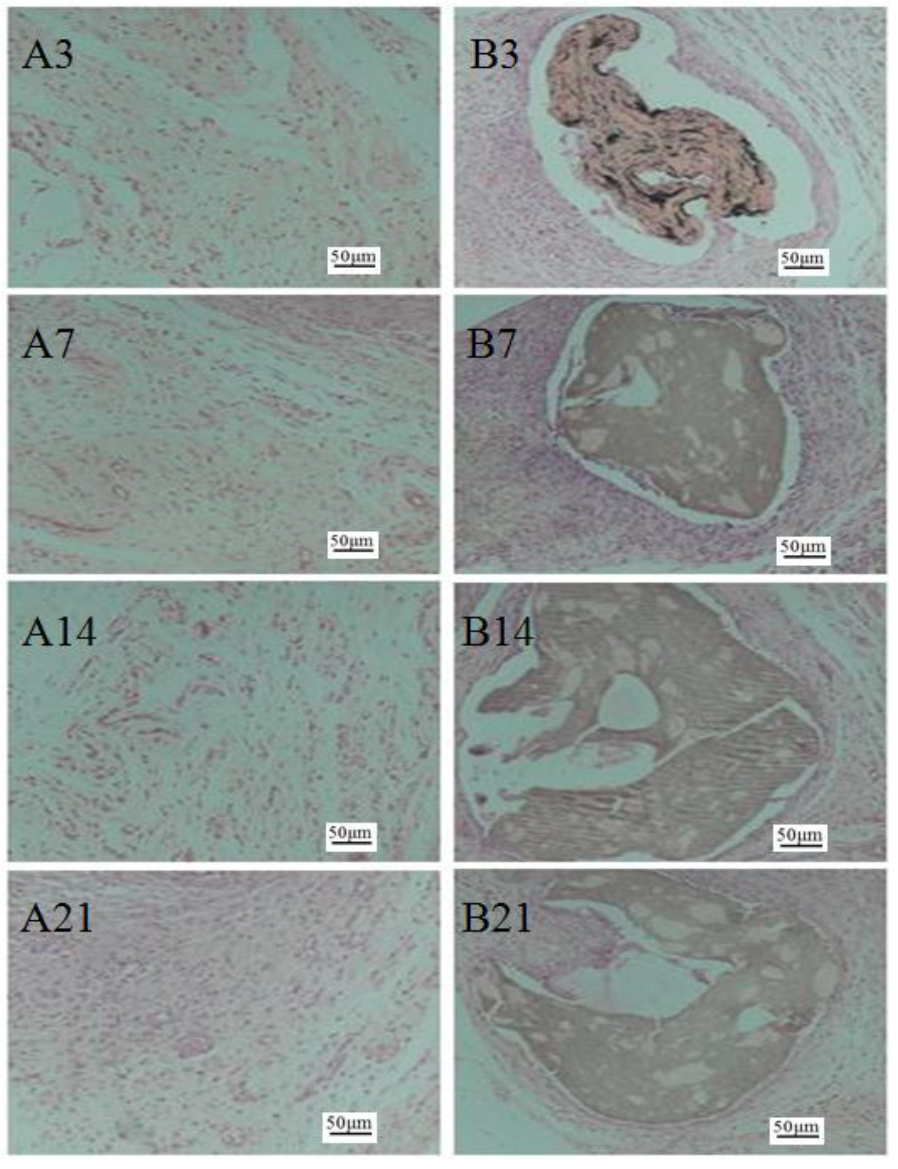 Marinedrugs 17 00210 g005