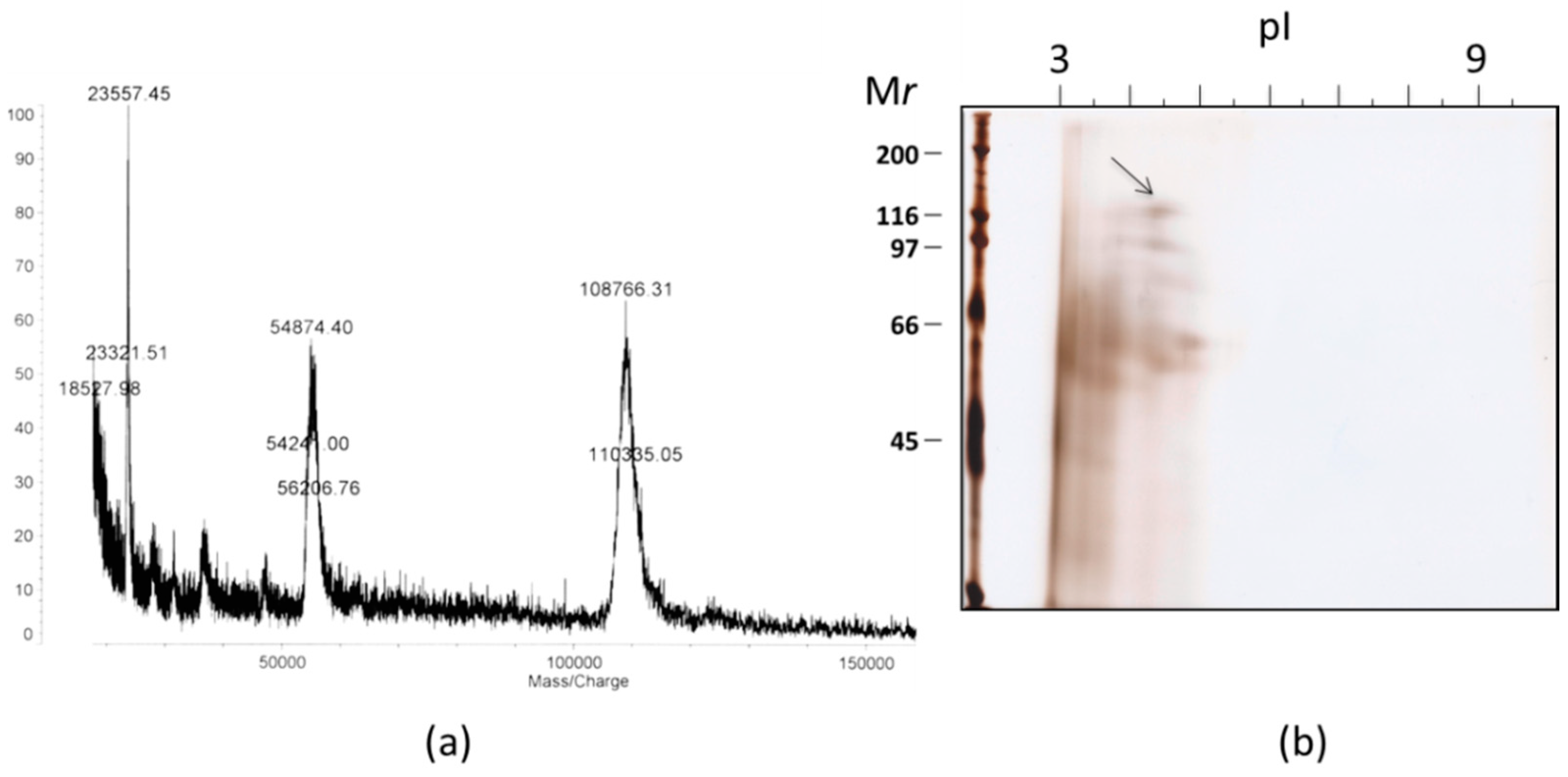 Marinedrugs 17 00216 g004