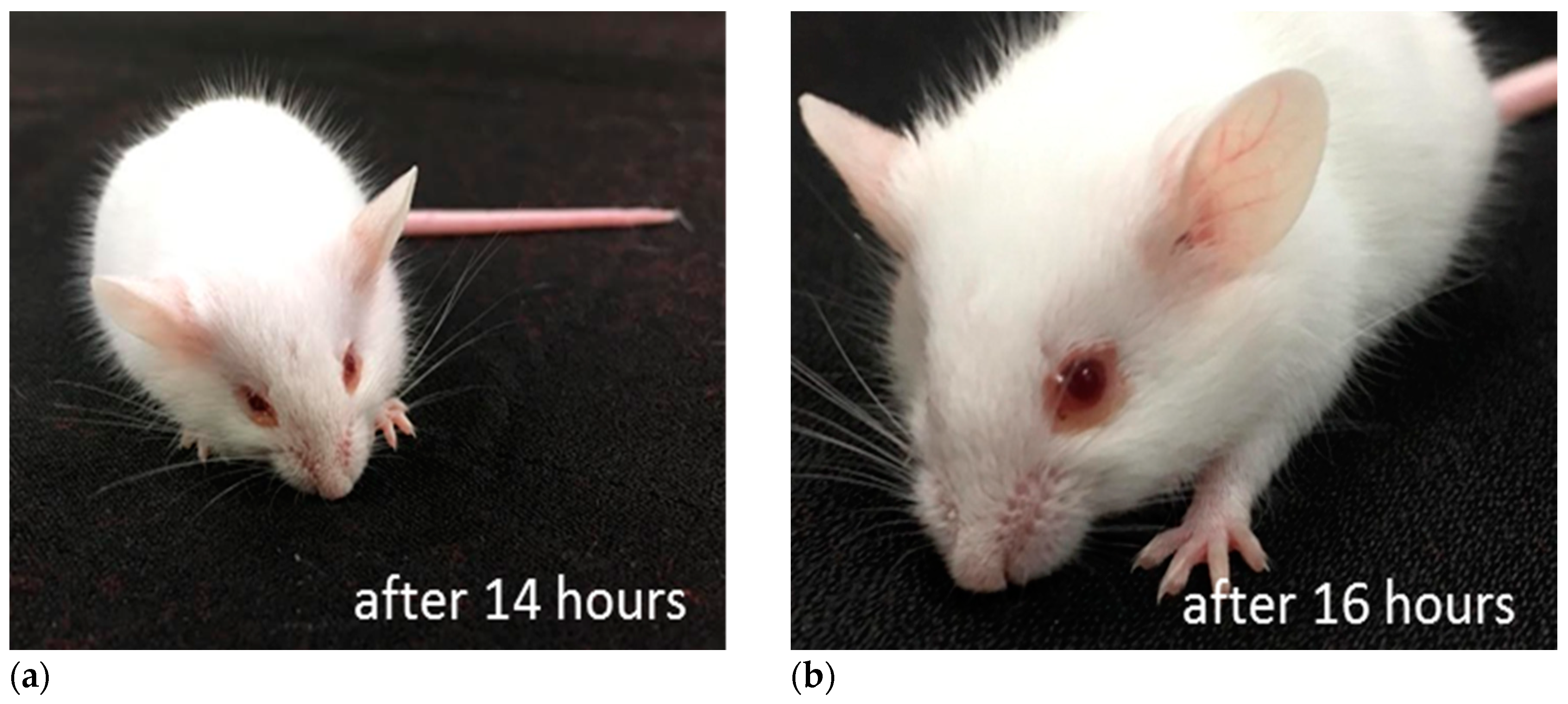 Marinedrugs 17 00216 g007