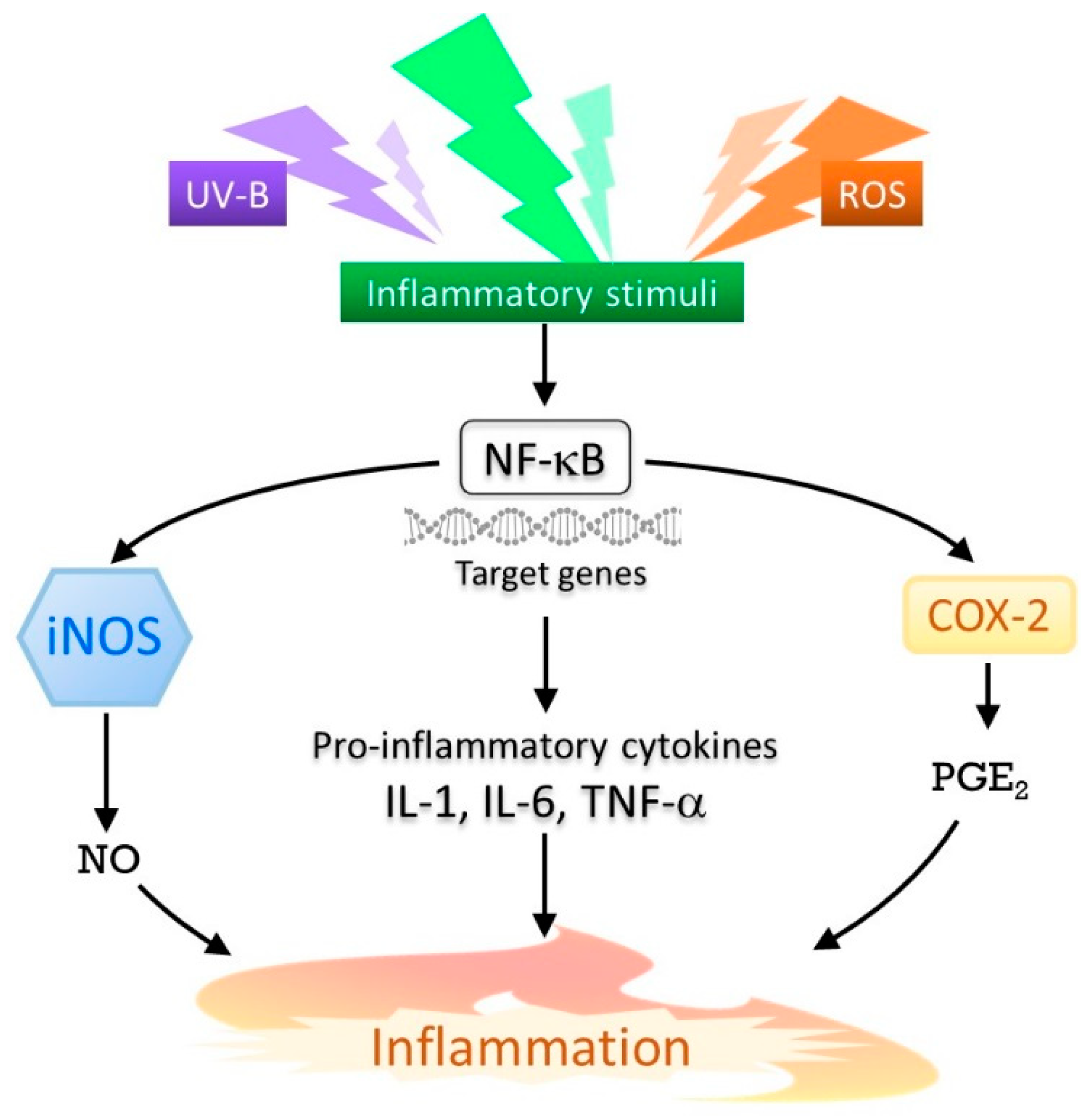 Marinedrugs 17 00222 g002