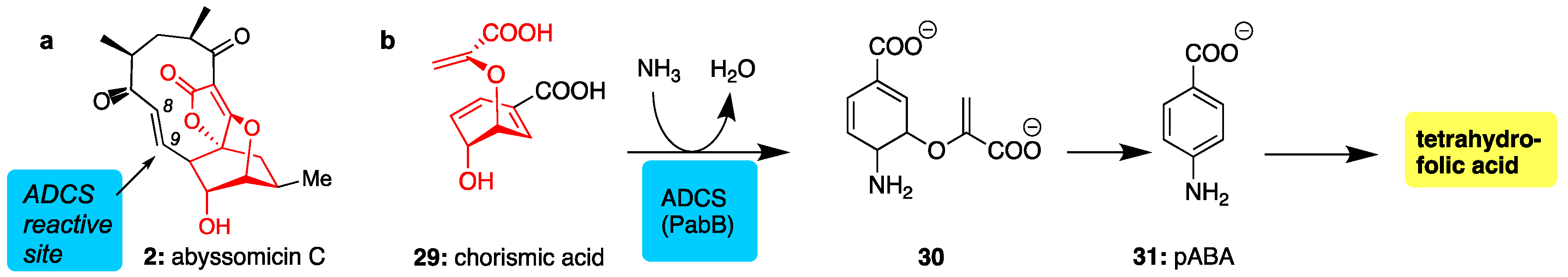 Marinedrugs 17 00232 g004