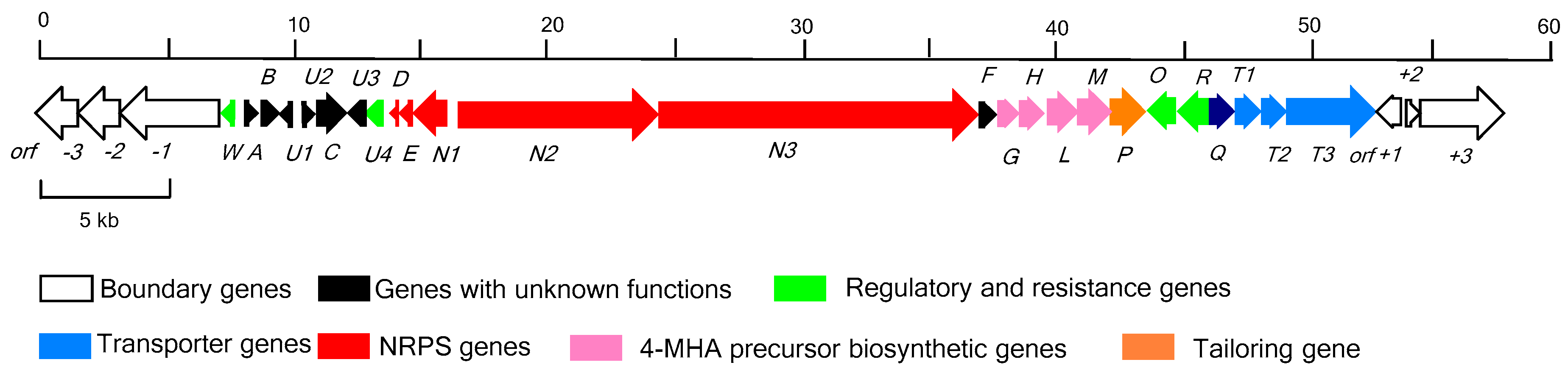 Marinedrugs 17 00240 g001