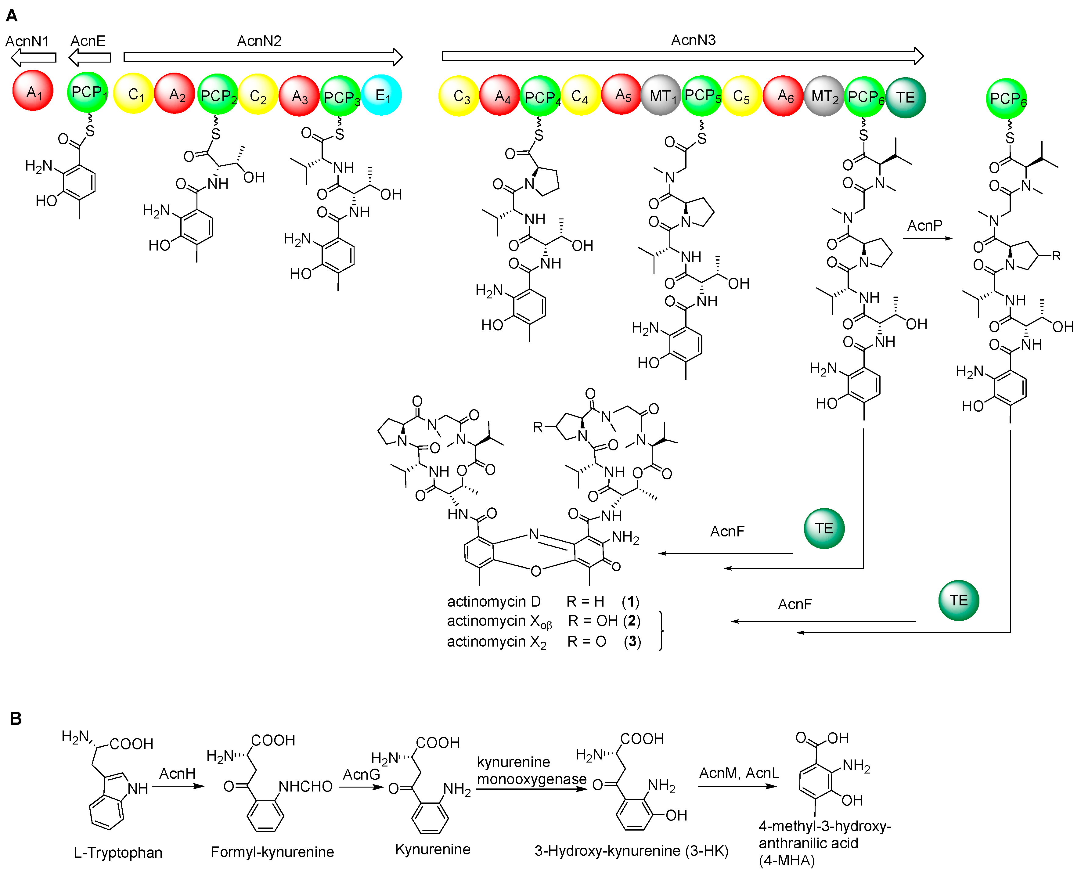 Marinedrugs 17 00240 g002