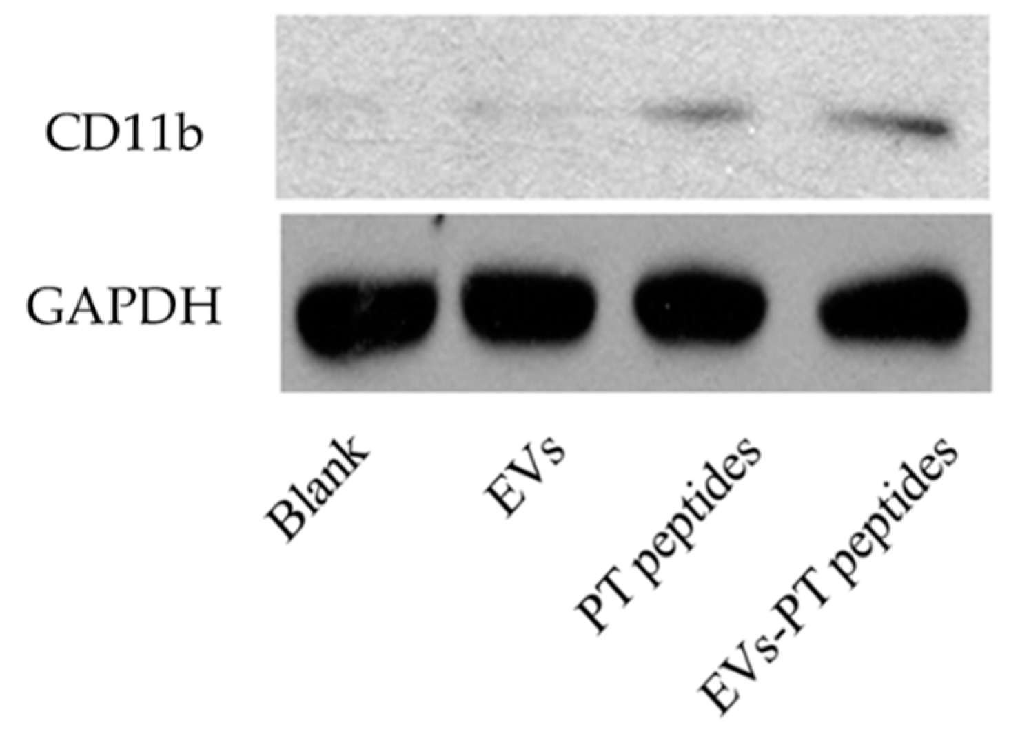 Marinedrugs 17 00248 g006 Marinedrugs 17 00248 g006