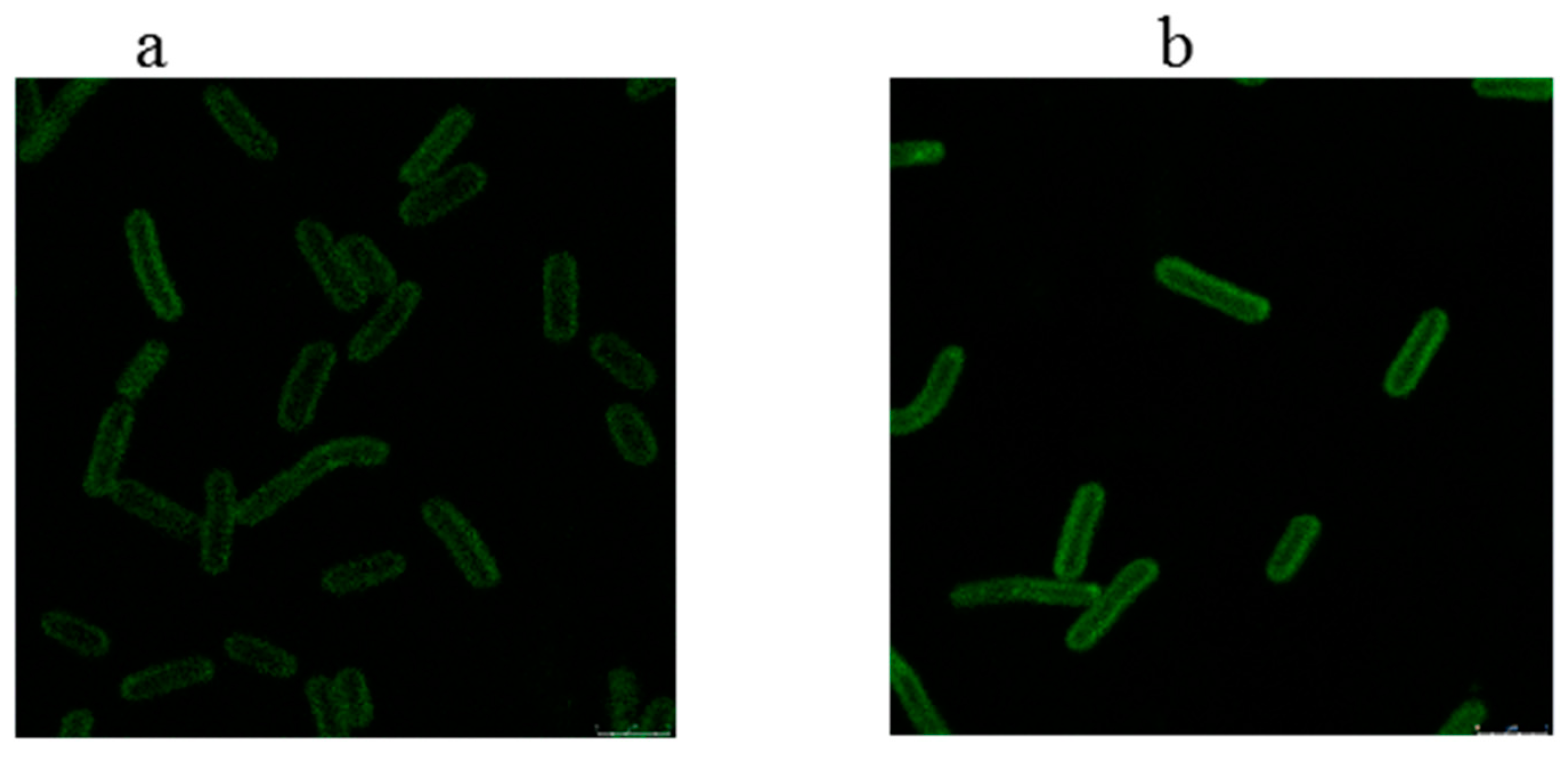 Marinedrugs 17 00255 g002