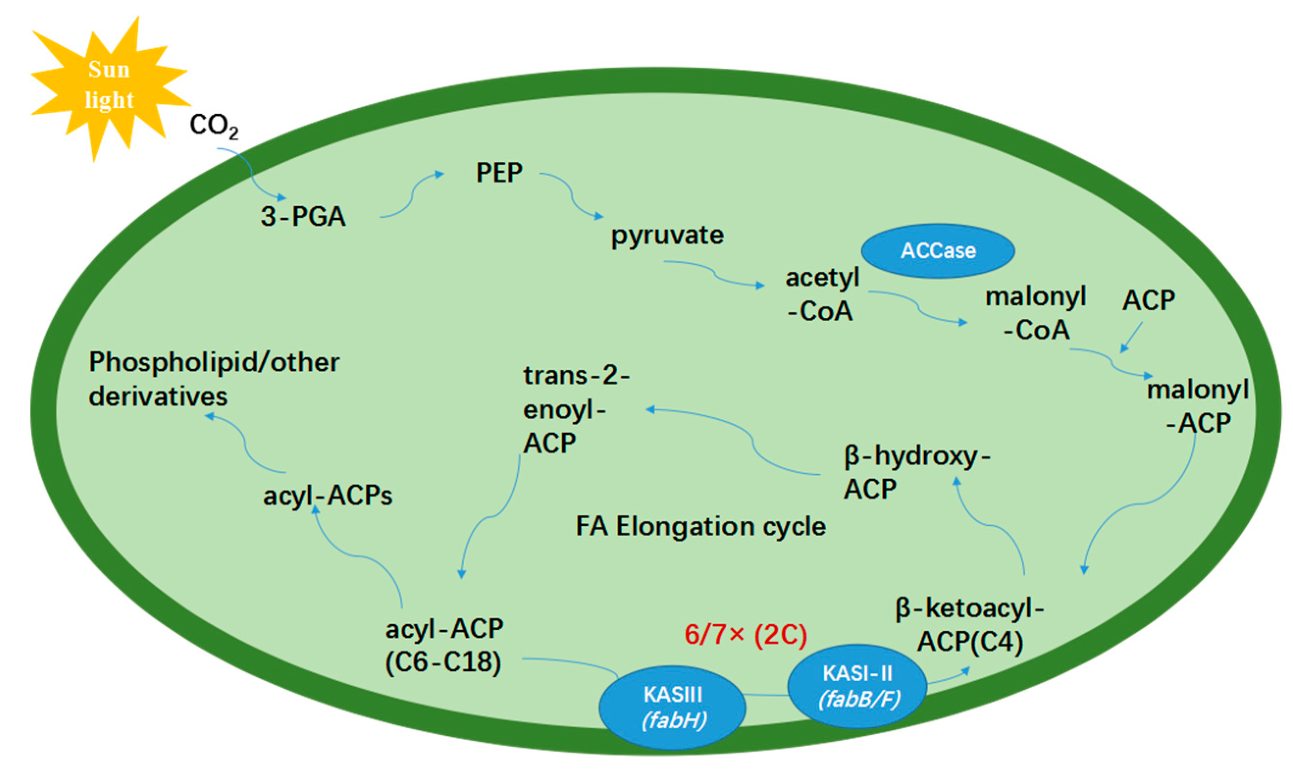Marinedrugs 17 00255 g003