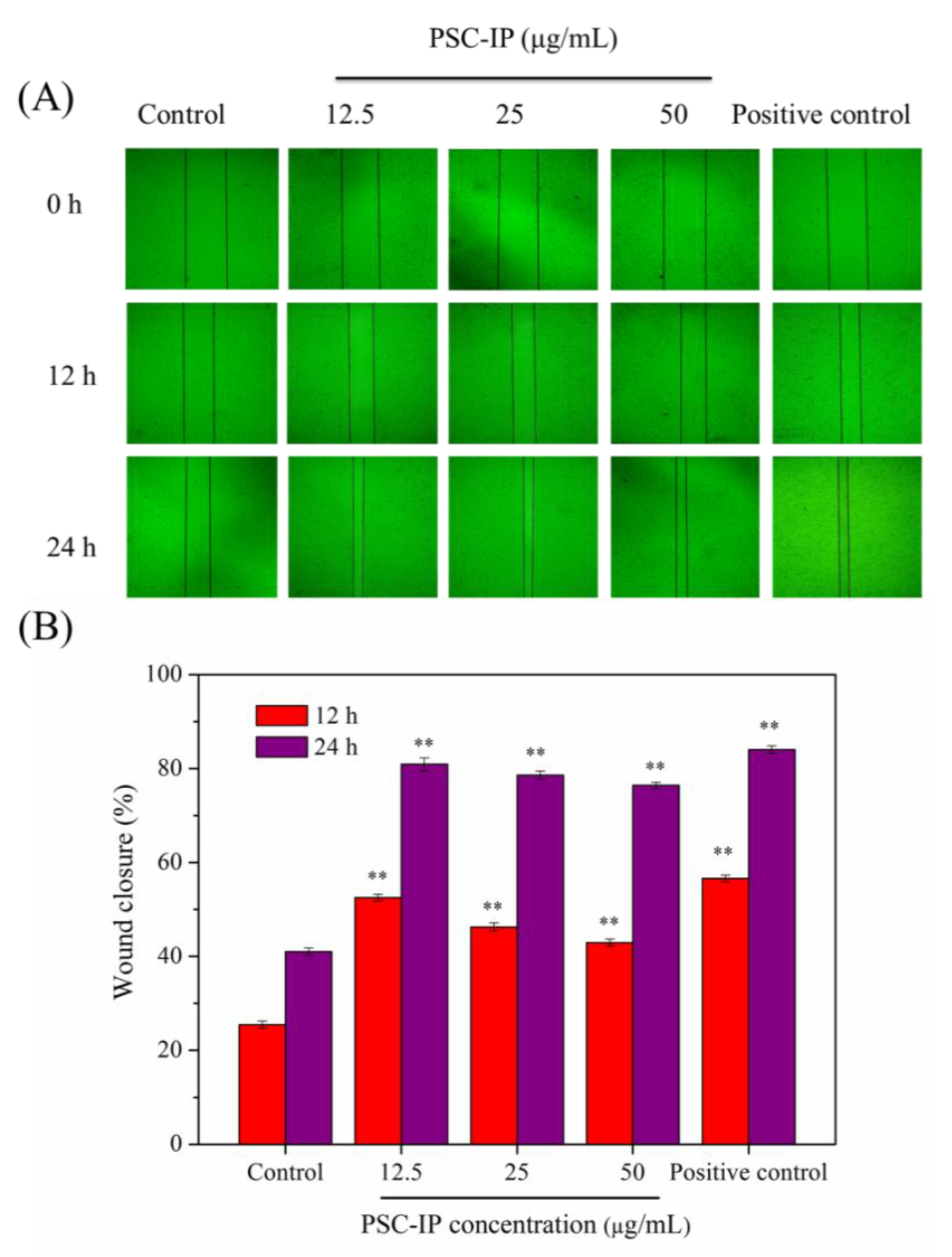 Marinedrugs 17 00261 g008