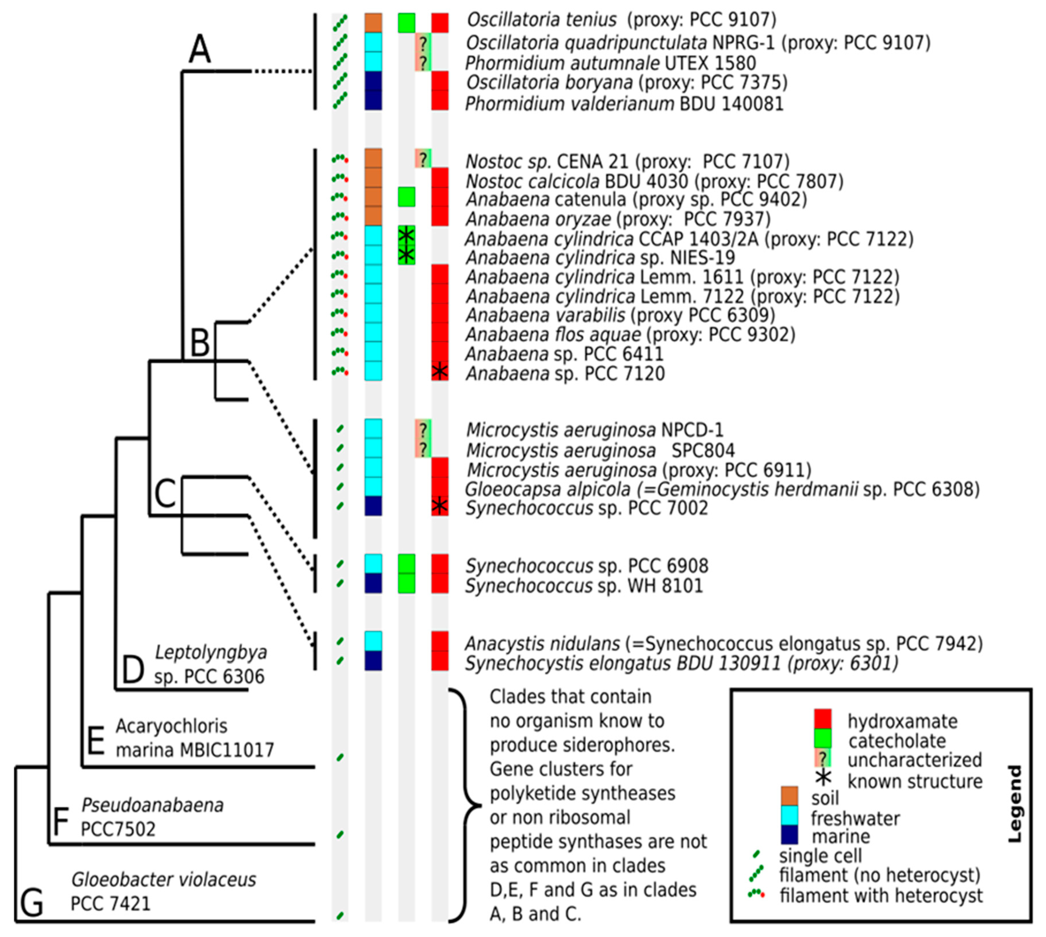 Marinedrugs 17 00281 g005