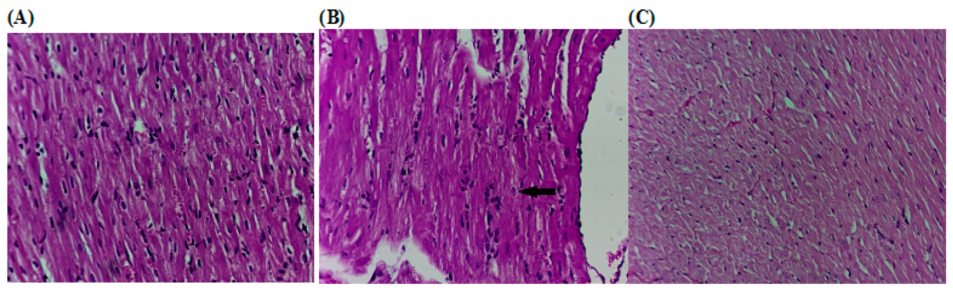 Marinedrugs 17 00290 g006