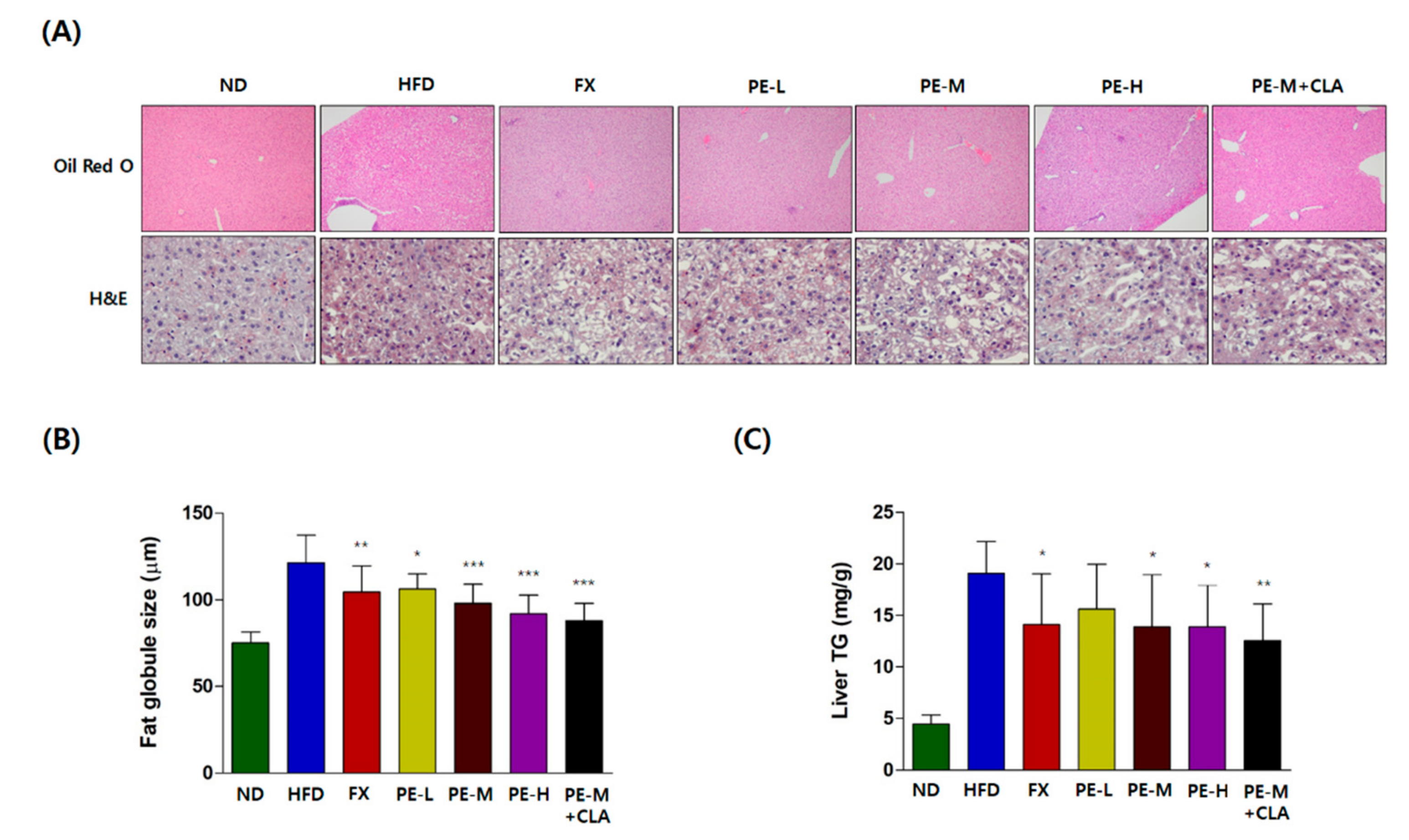 Marinedrugs 17 00311 g003