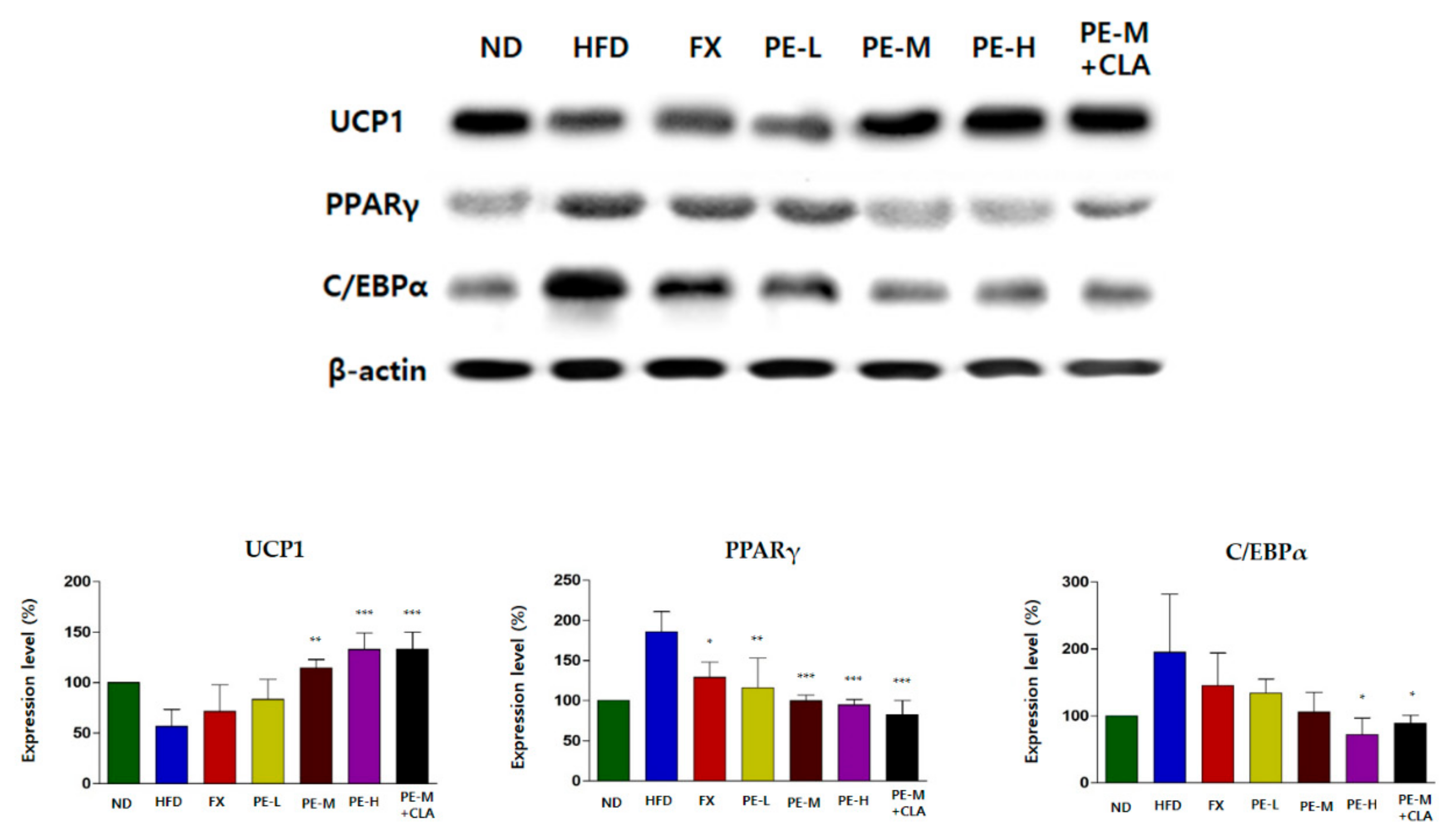 Marinedrugs 17 00311 g005