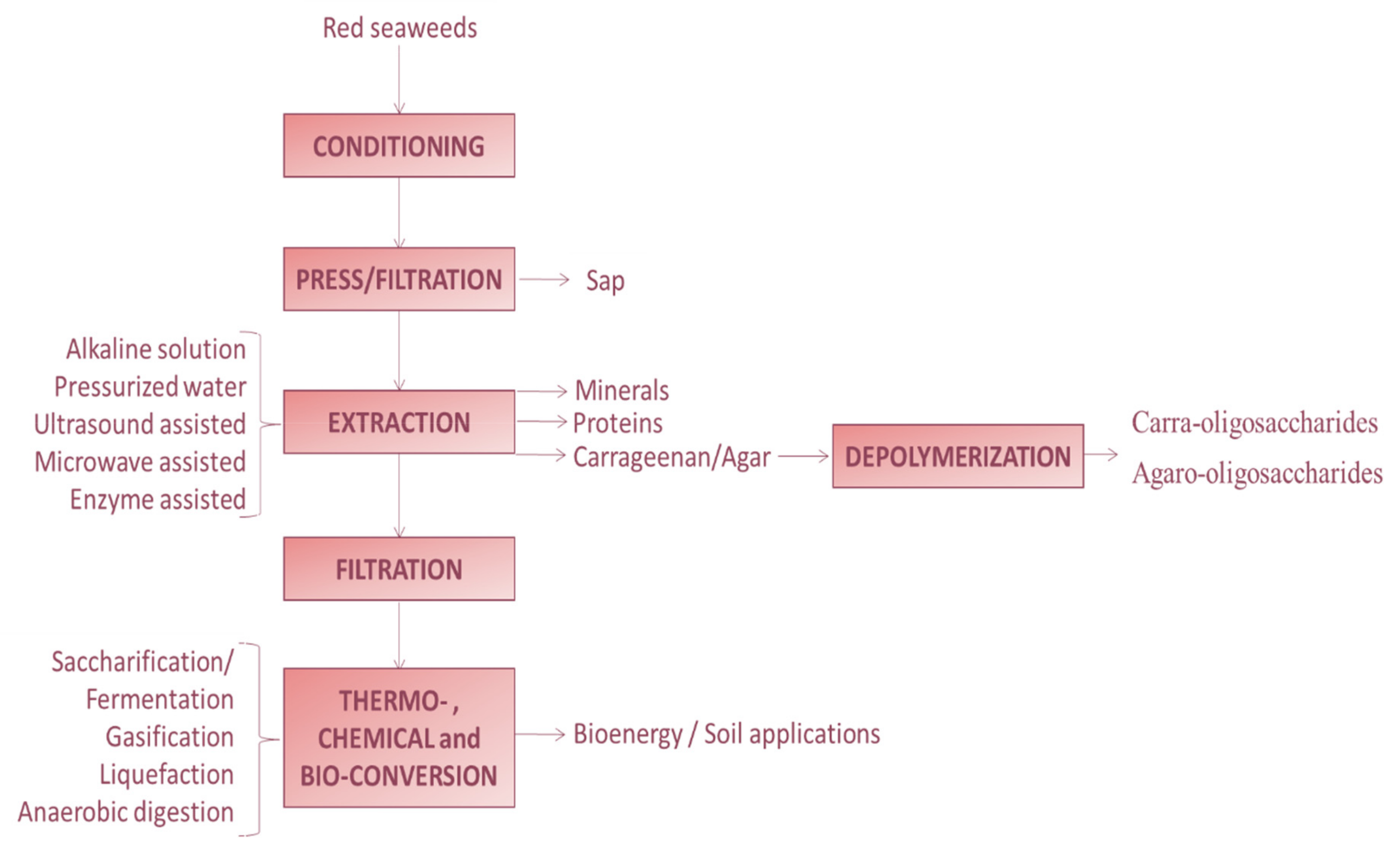 Marinedrugs 17 00314 g005