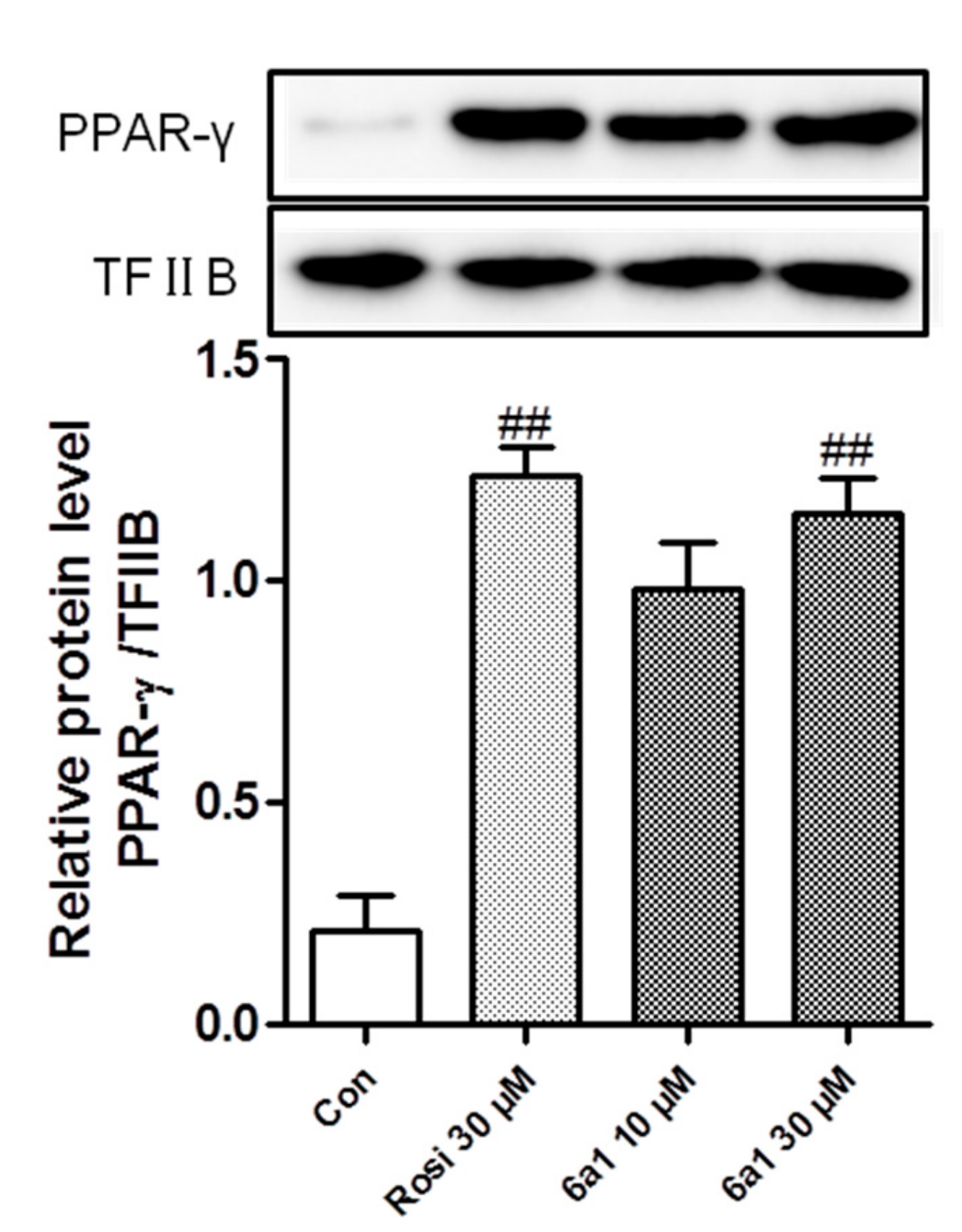 Marinedrugs 17 00321 g002