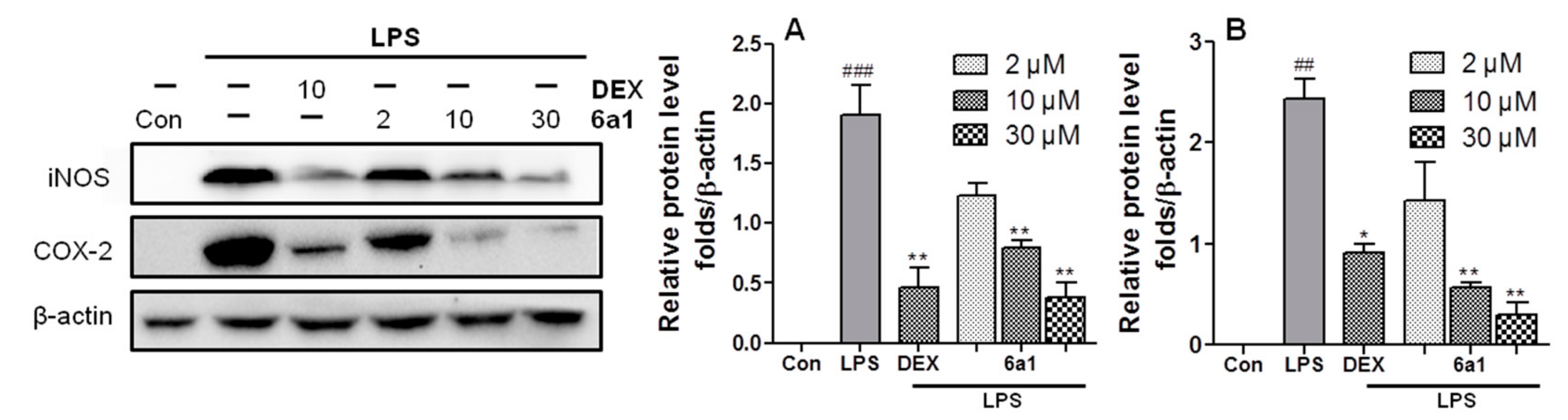 Marinedrugs 17 00321 g004