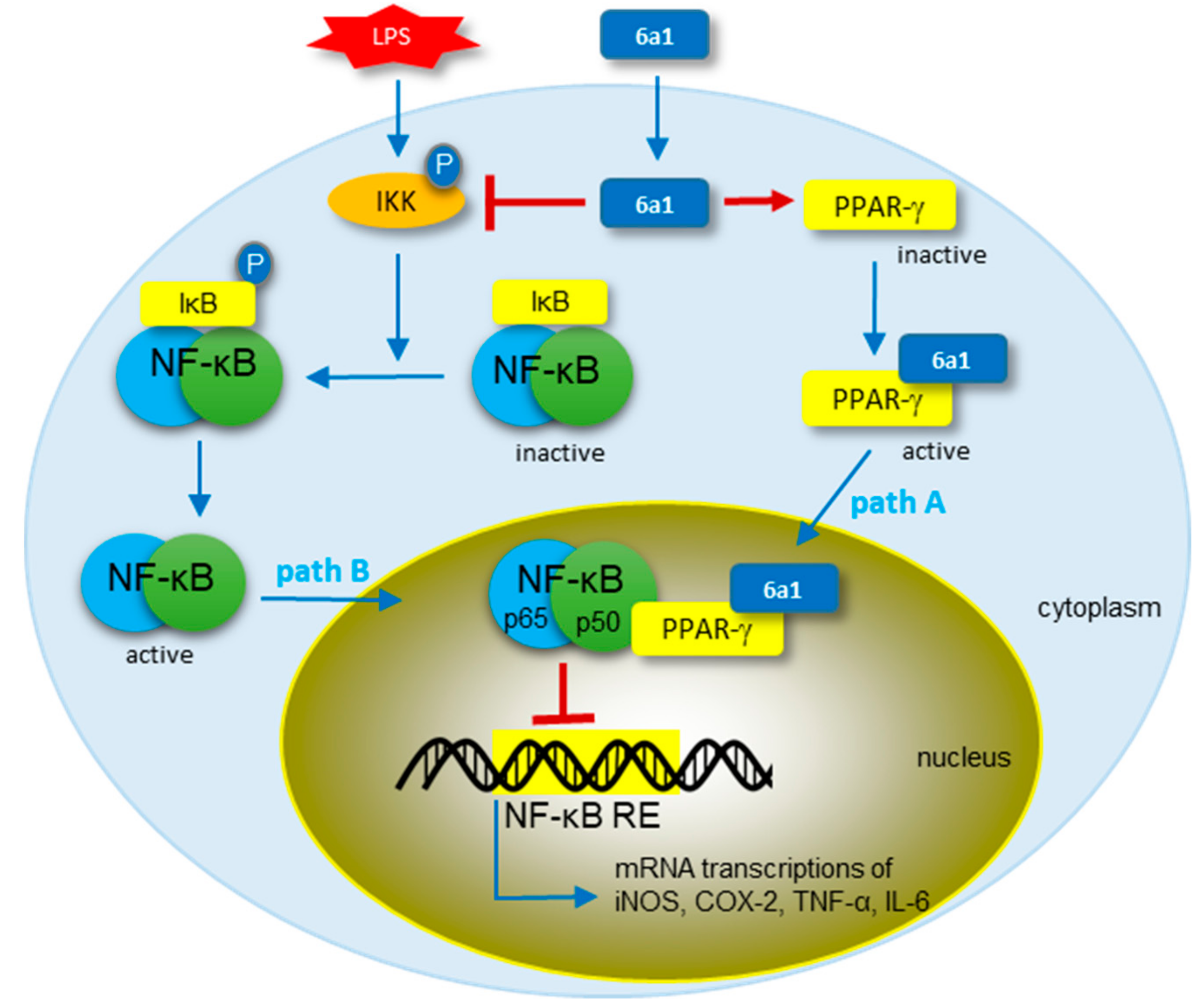 Marinedrugs 17 00321 g006