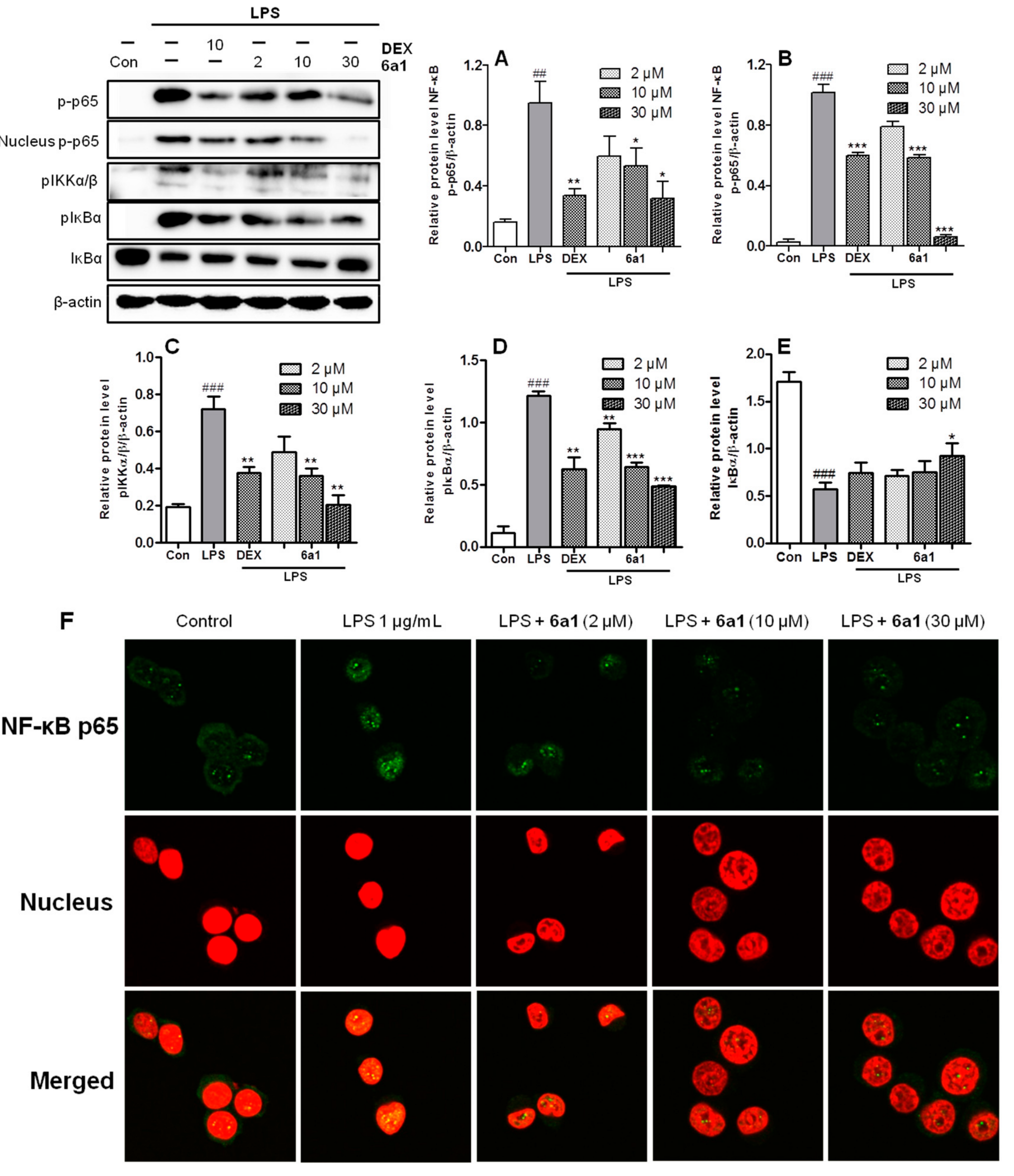 Marinedrugs 17 00321 g007