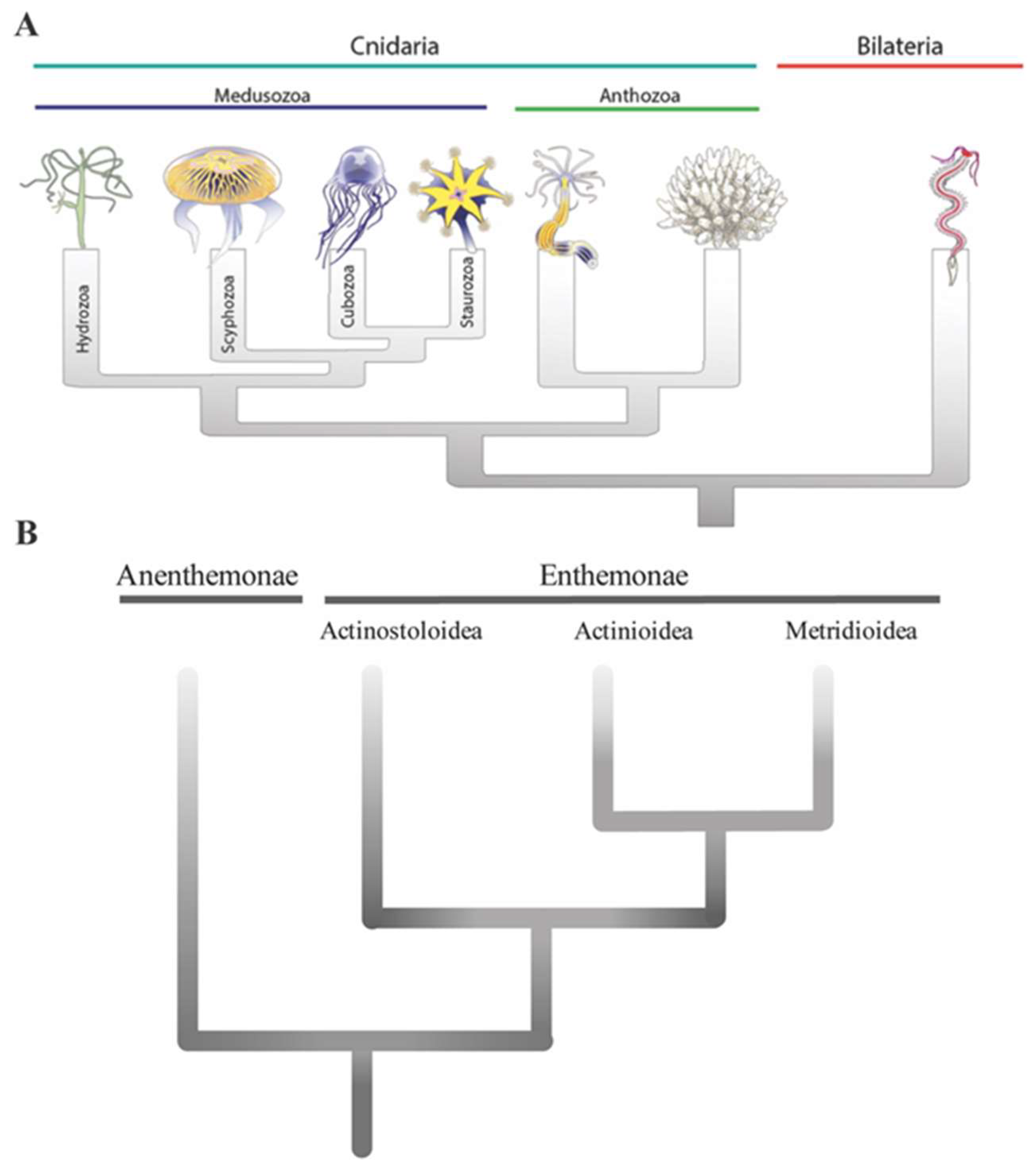Marinedrugs 17 00325 g001