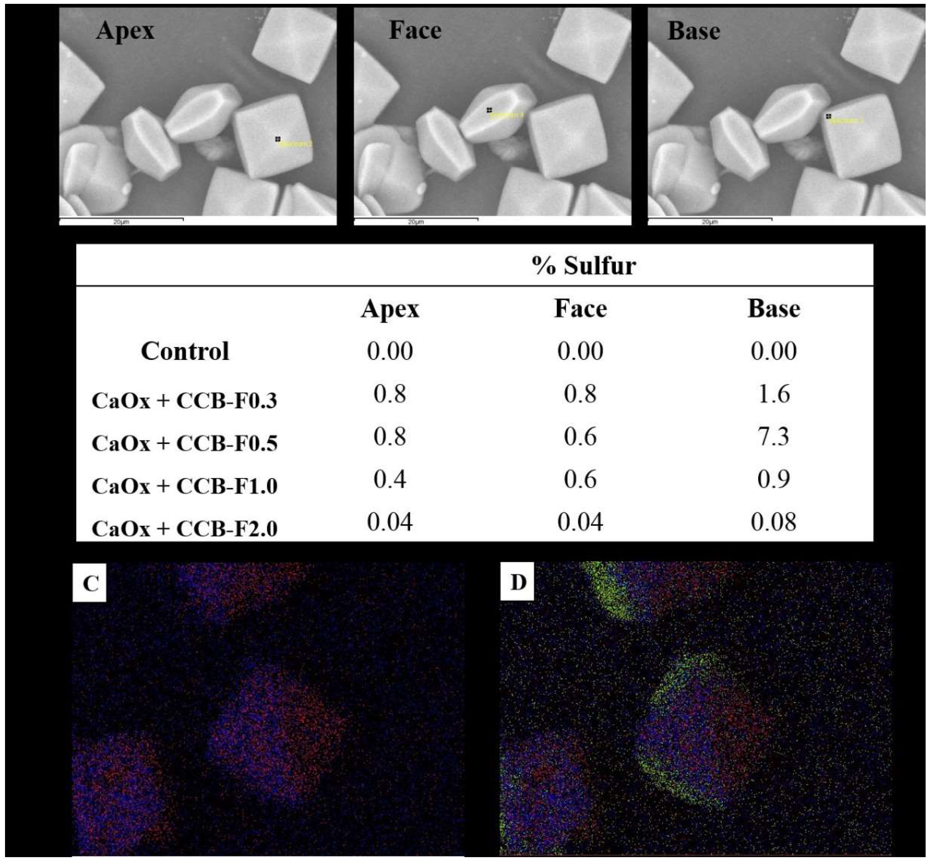 Marinedrugs 17 00326 g006 Marinedrugs 17 00326 g006