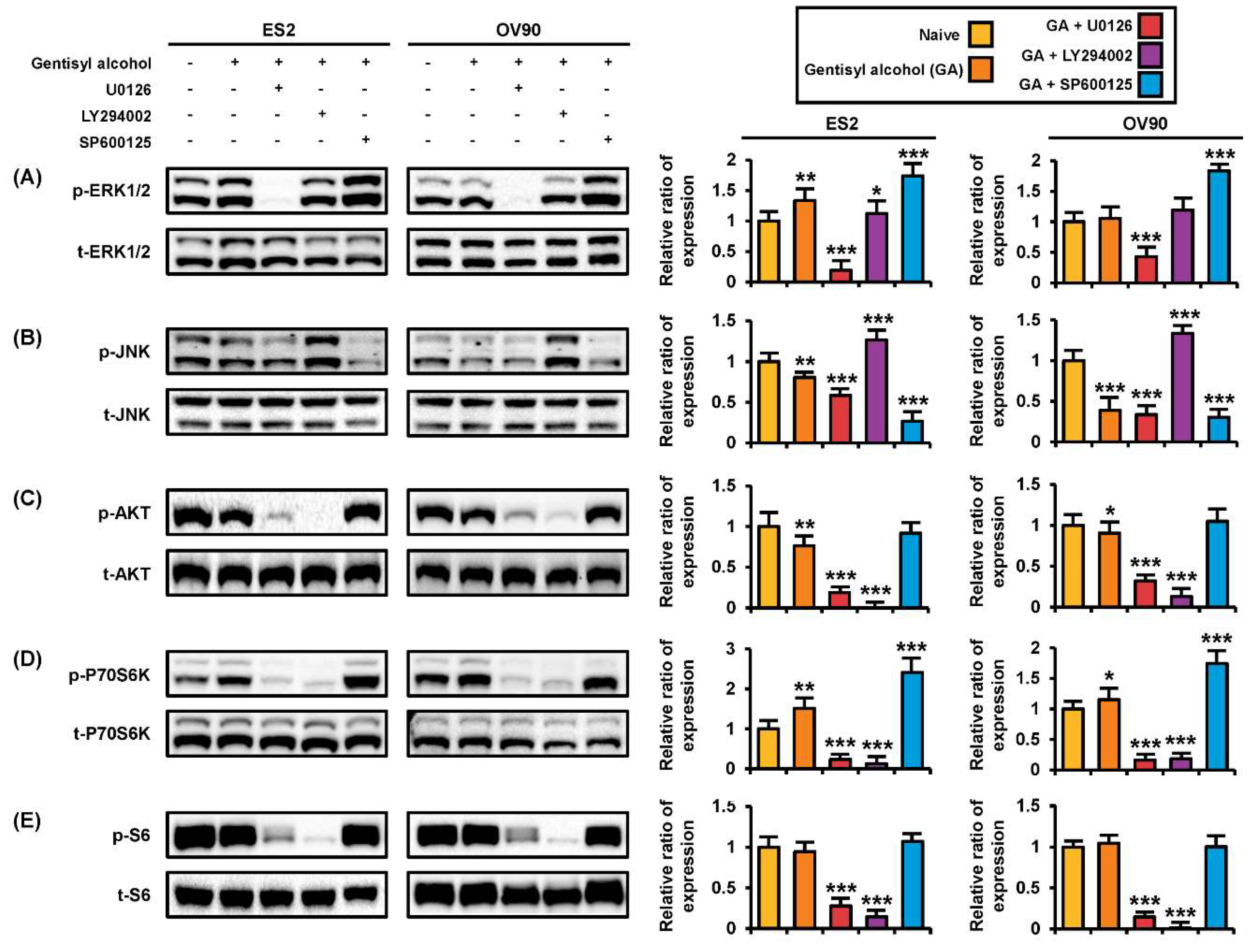 Marinedrugs 17 00331 g006