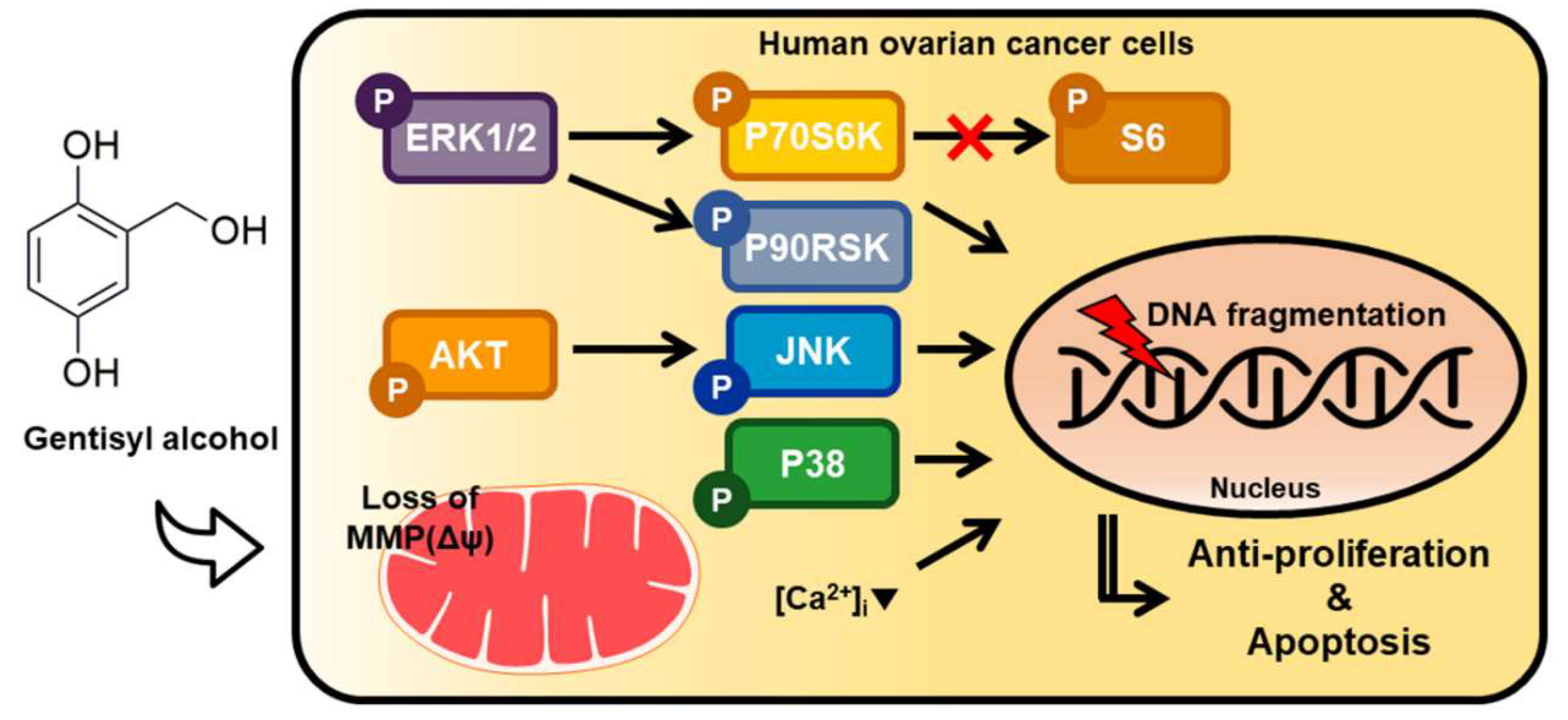 Marinedrugs 17 00331 g007