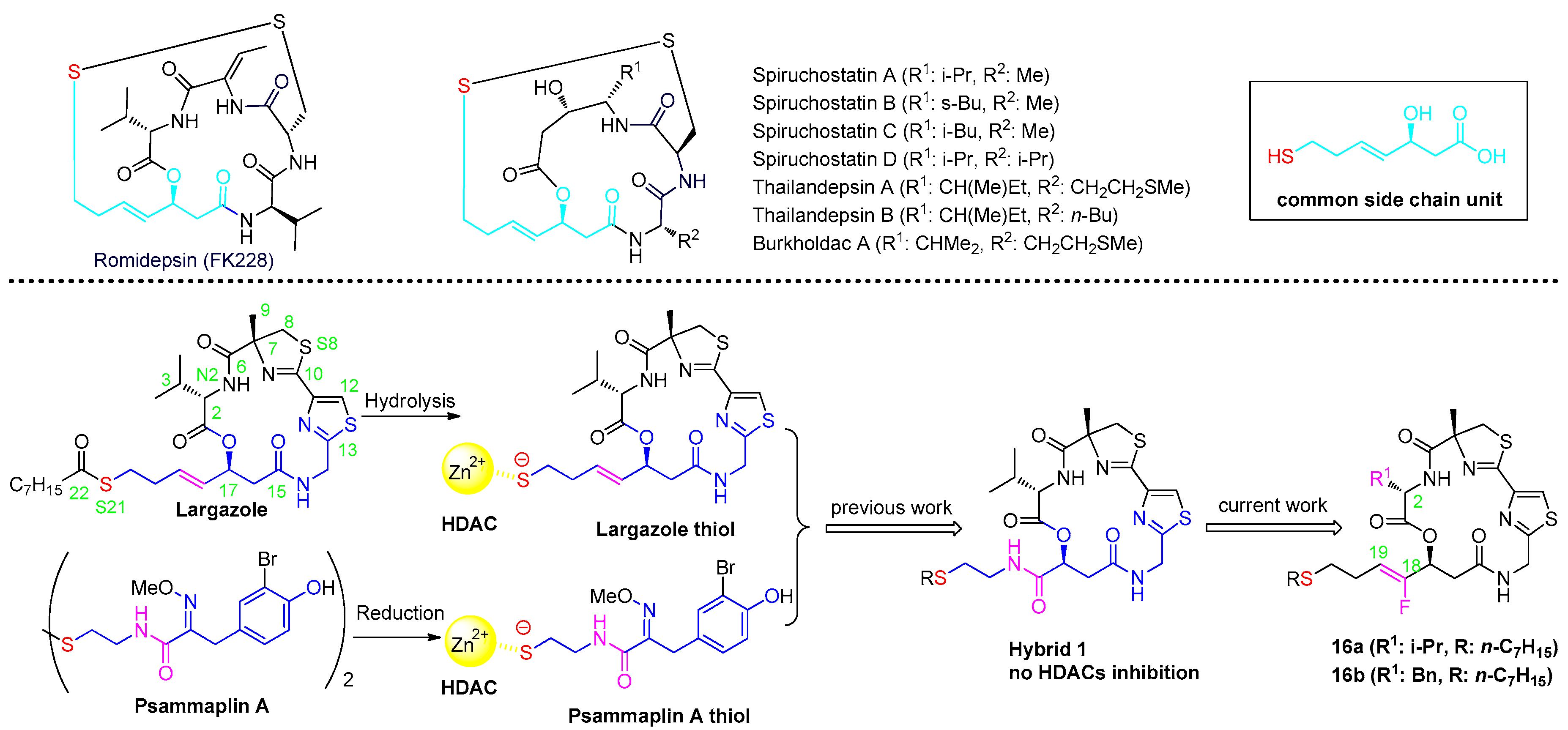 Marinedrugs 17 00333 g001