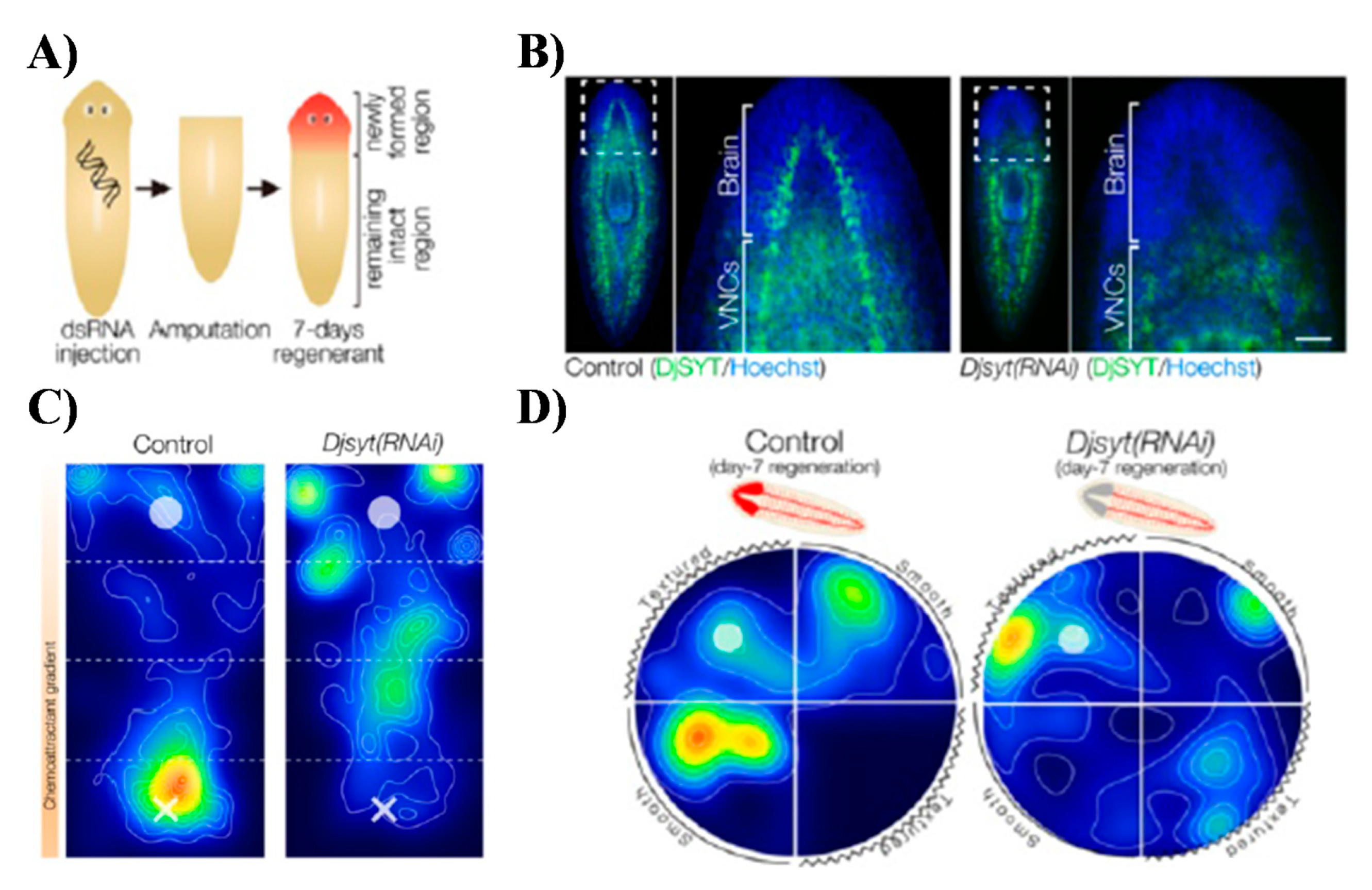 Marinedrugs 17 00340 g006