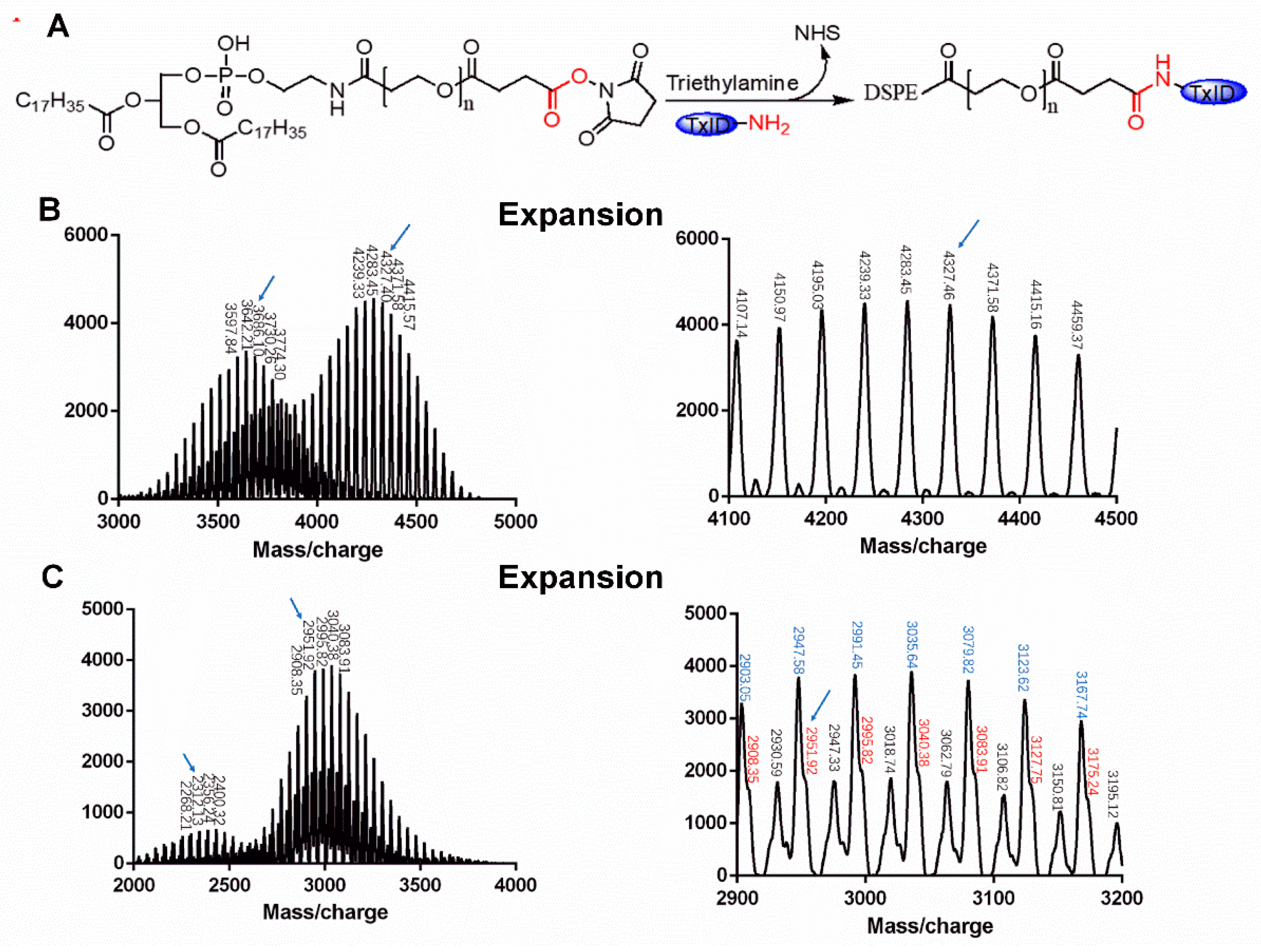 Marinedrugs 17 00342 g002