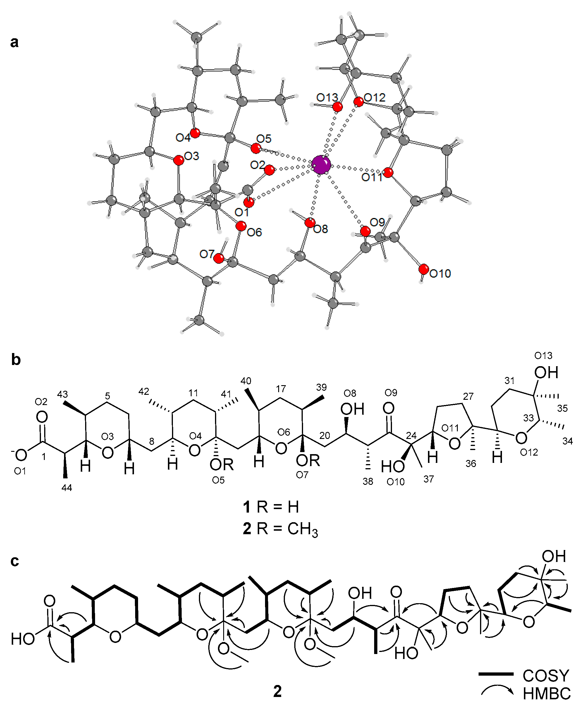Marinedrugs 17 00347 g003