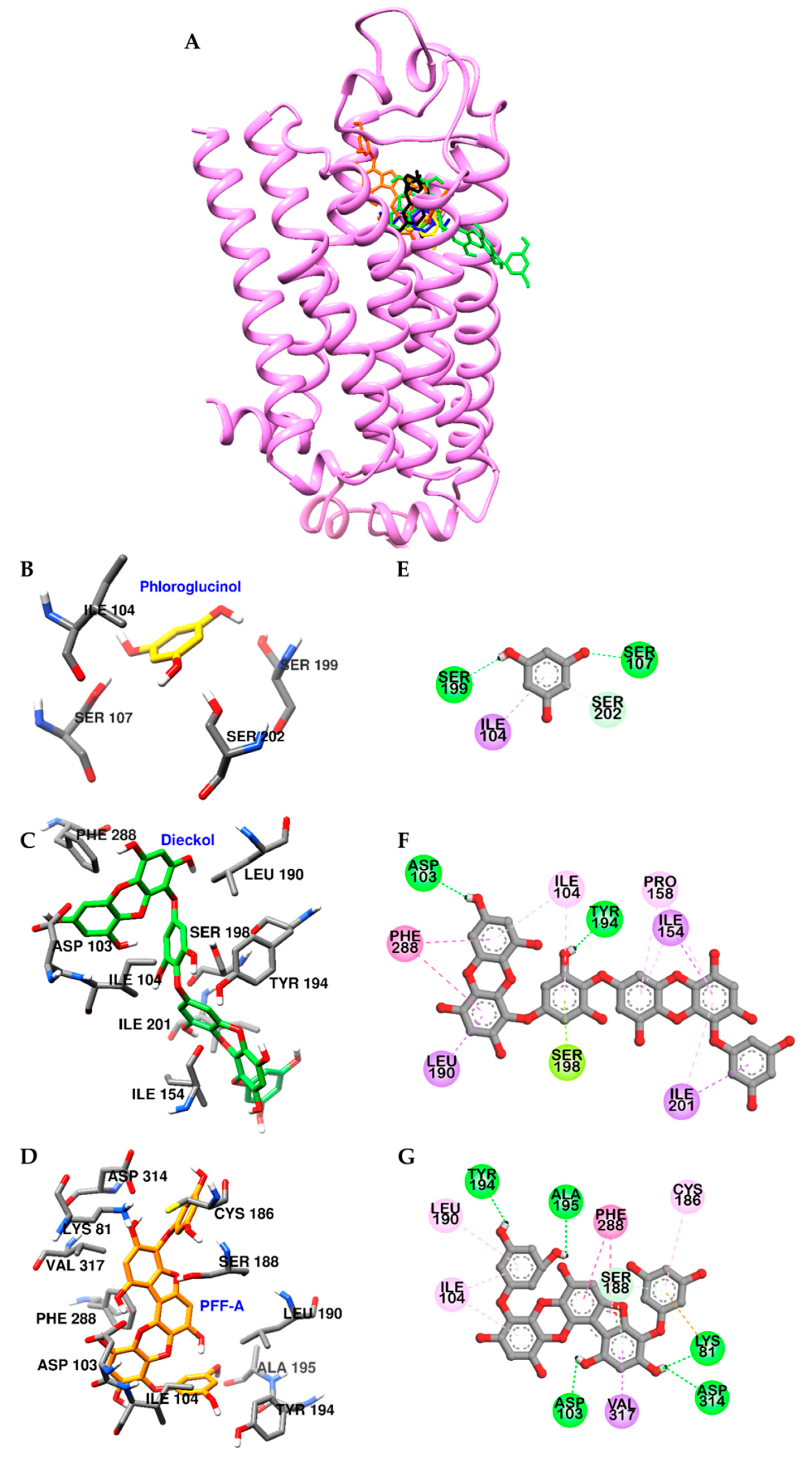 Marinedrugs 17 00377 g005