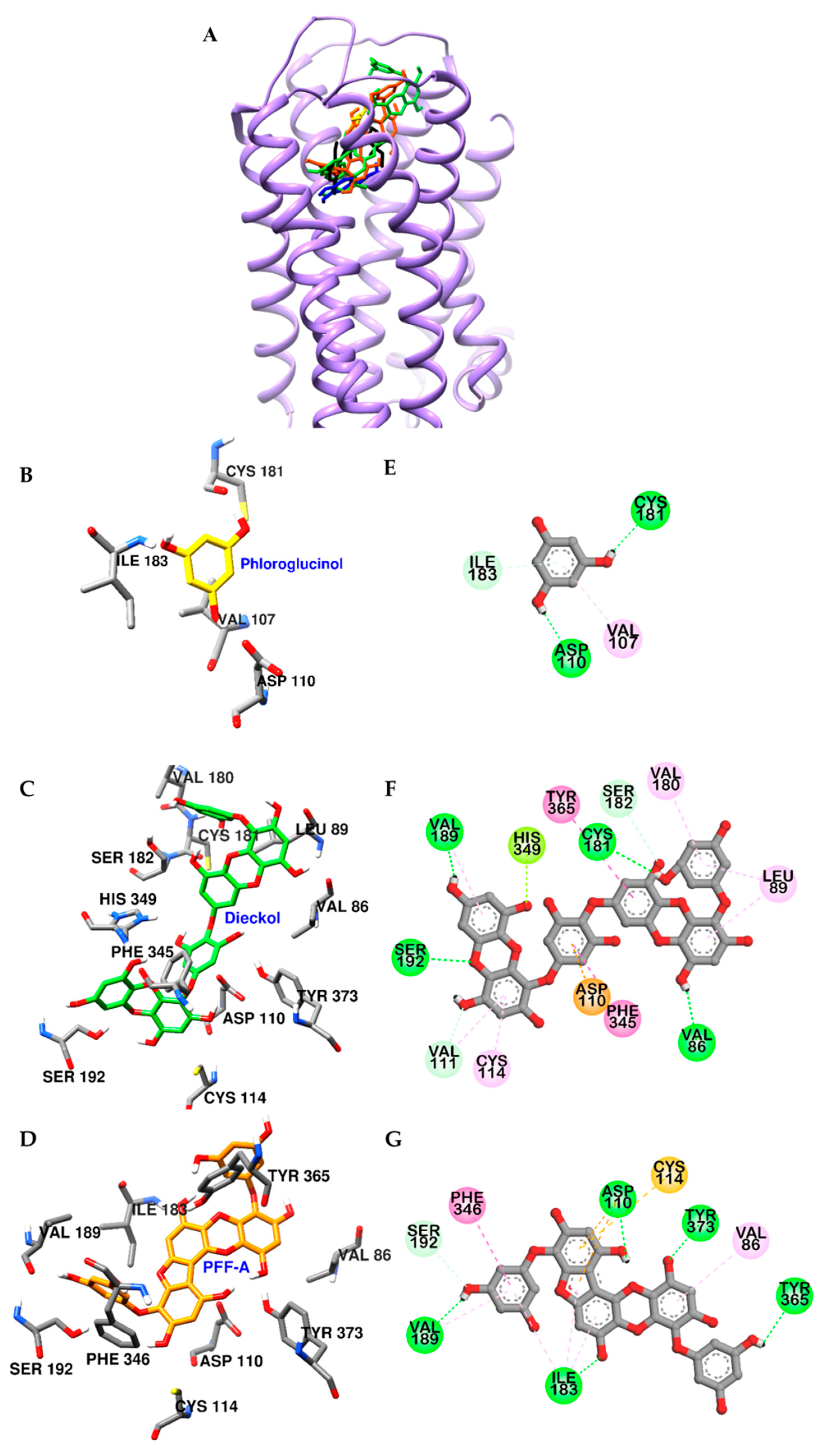 Marinedrugs 17 00377 g006