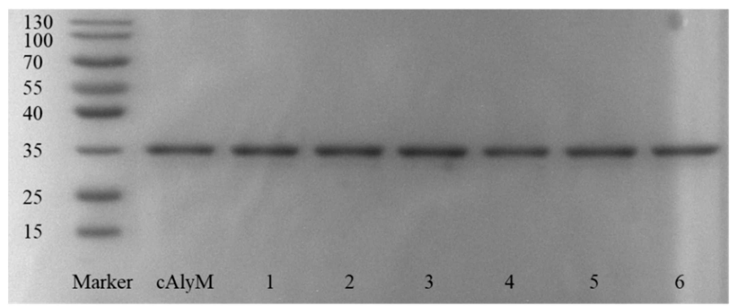 Marinedrugs 17 00378 g002