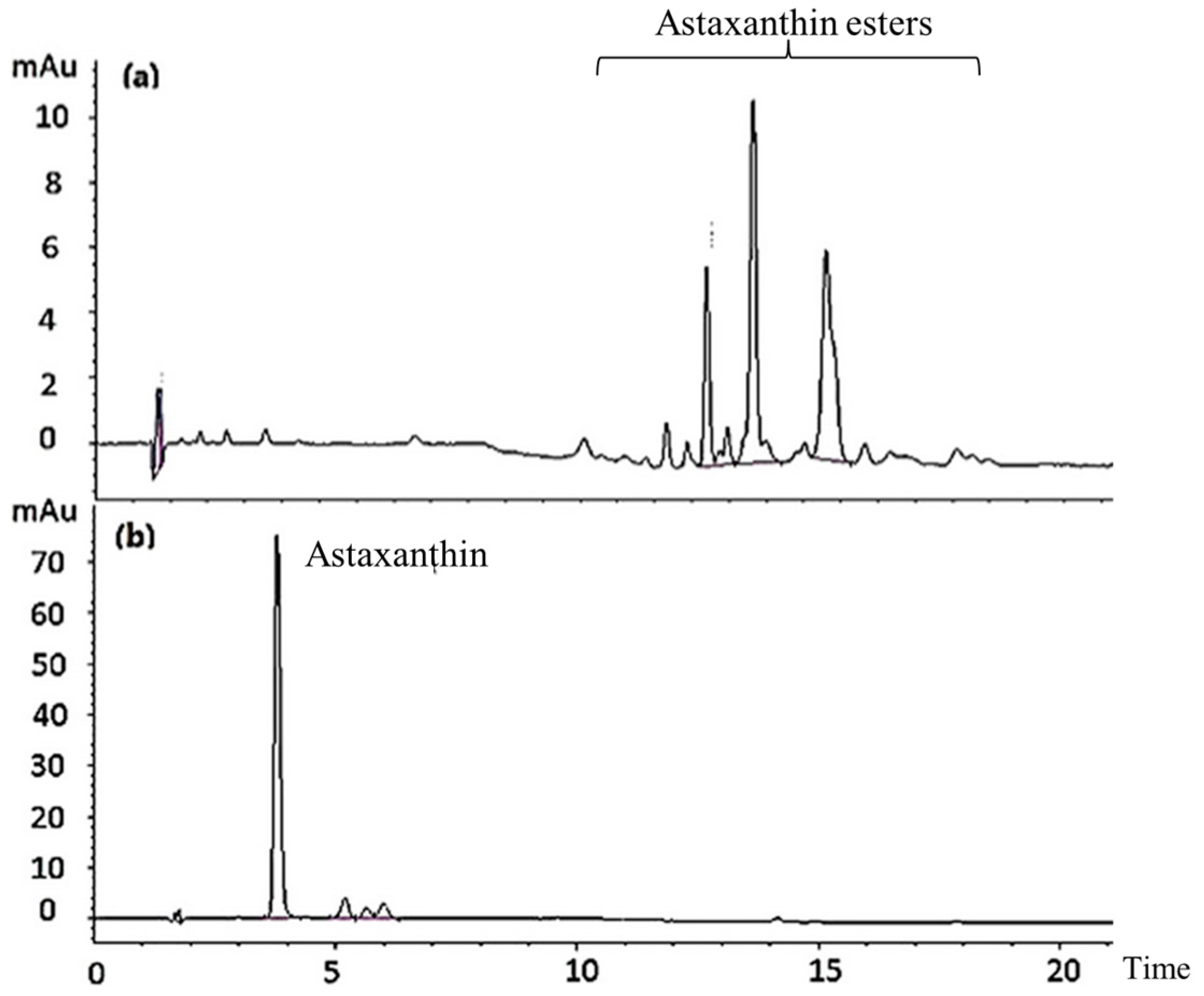 Marinedrugs 17 00382 g001